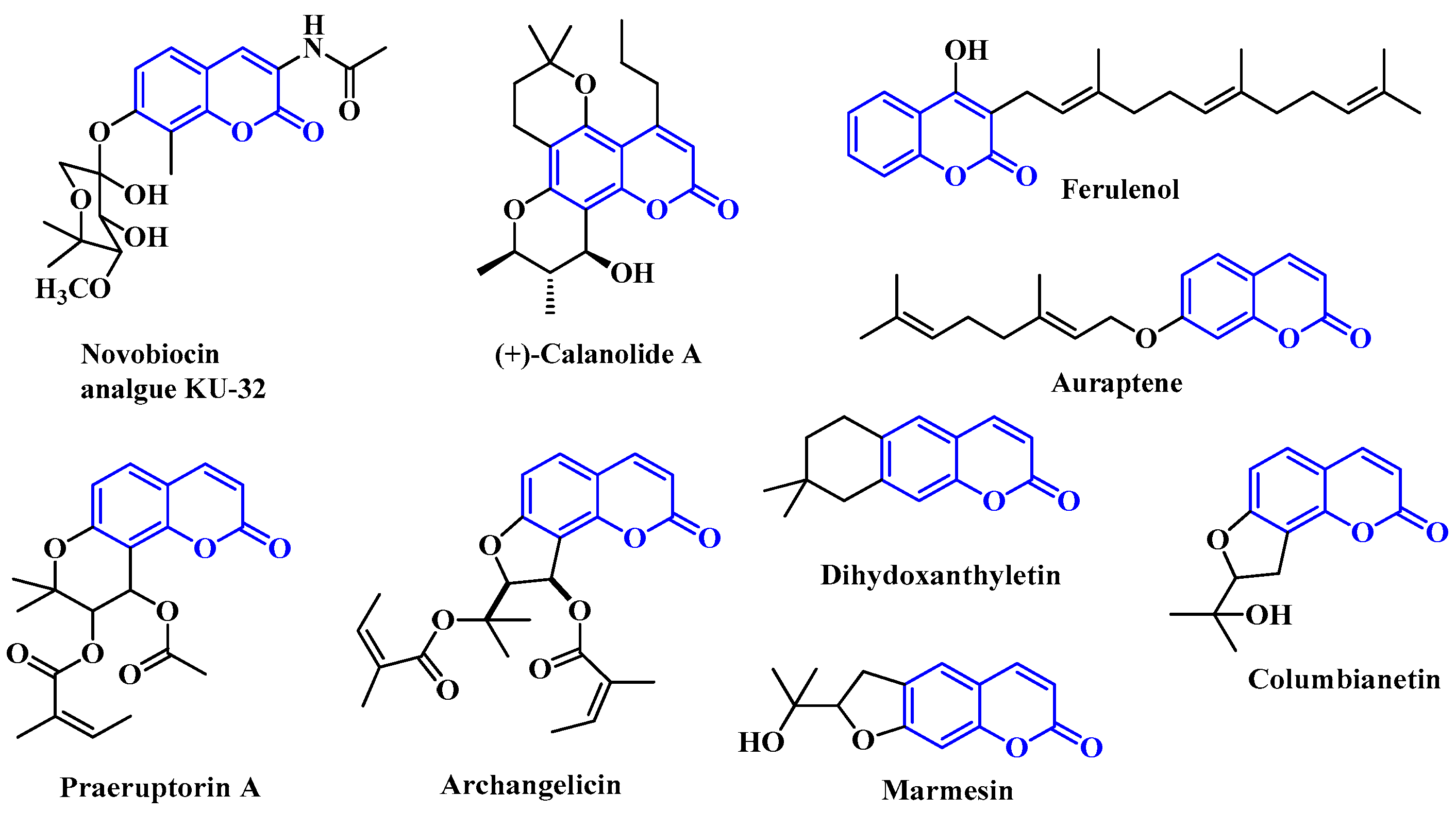 Molecules 24 02835 g001