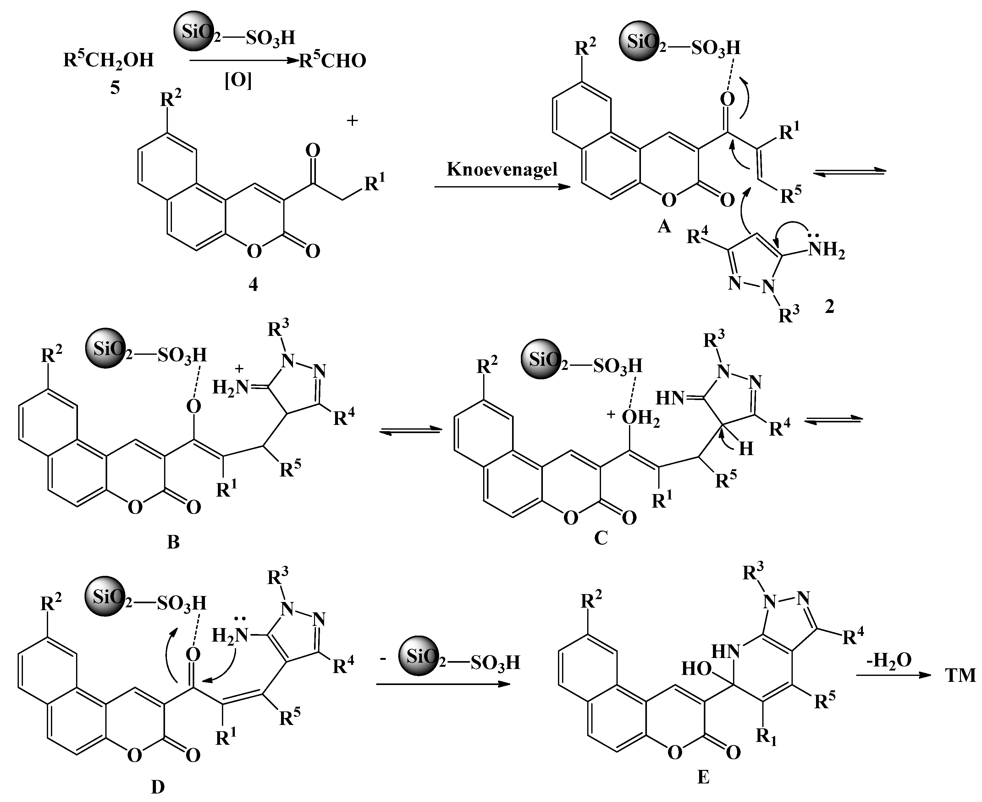 Molecules 24 02835 sch005