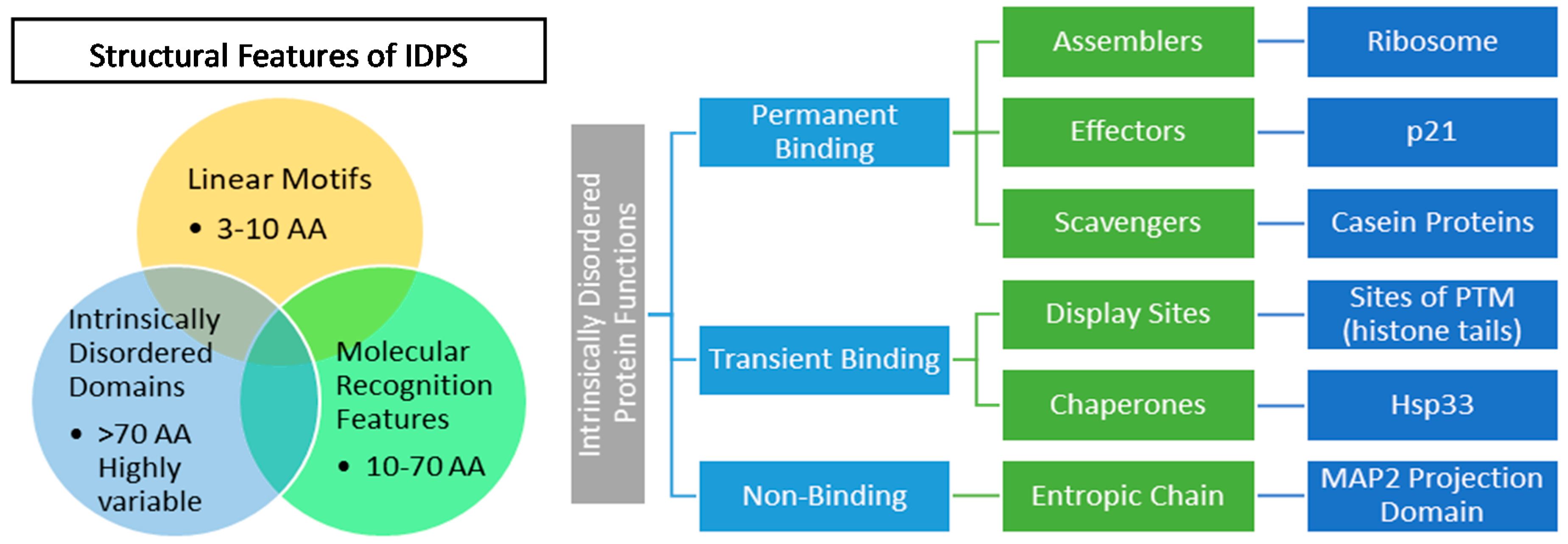 Molecules 24 02841 g002 Molecules 24 02841 g002