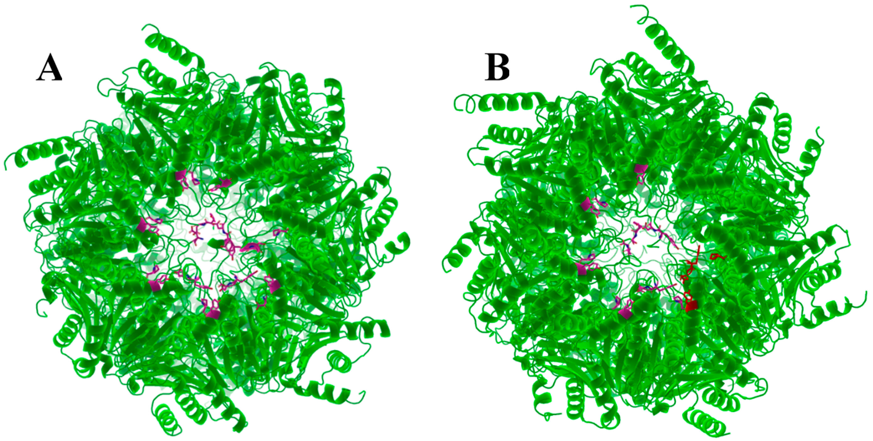 Molecules 24 02841 g006 Molecules 24 02841 g006