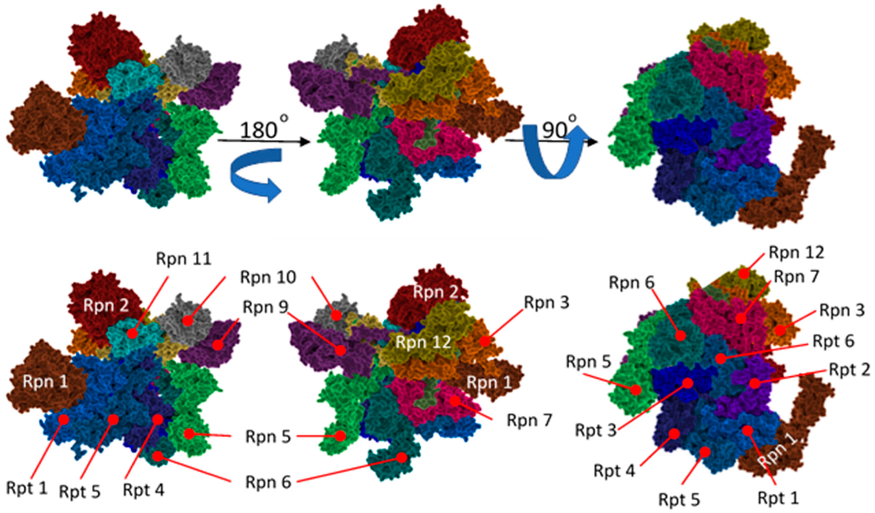 Molecules 24 02841 g007 Molecules 24 02841 g007