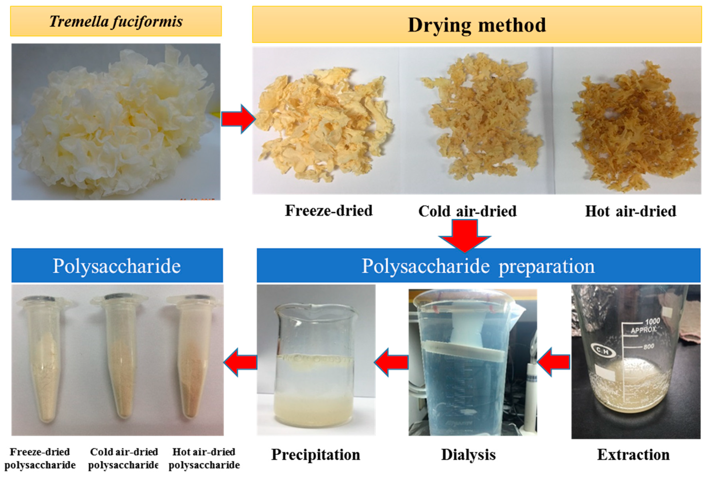 Molecules 24 02856 g001