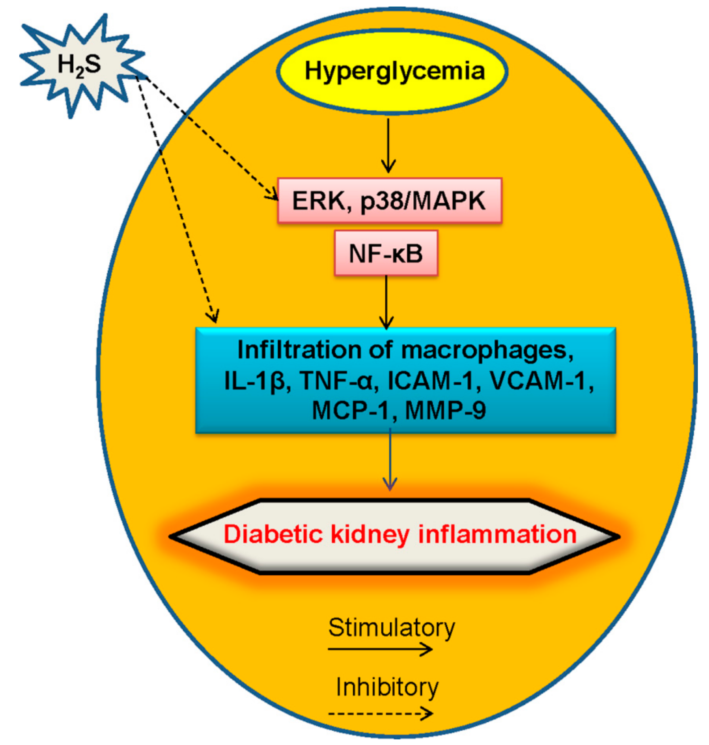 Molecules 24 02857 g005 Molecules 24 02857 g005