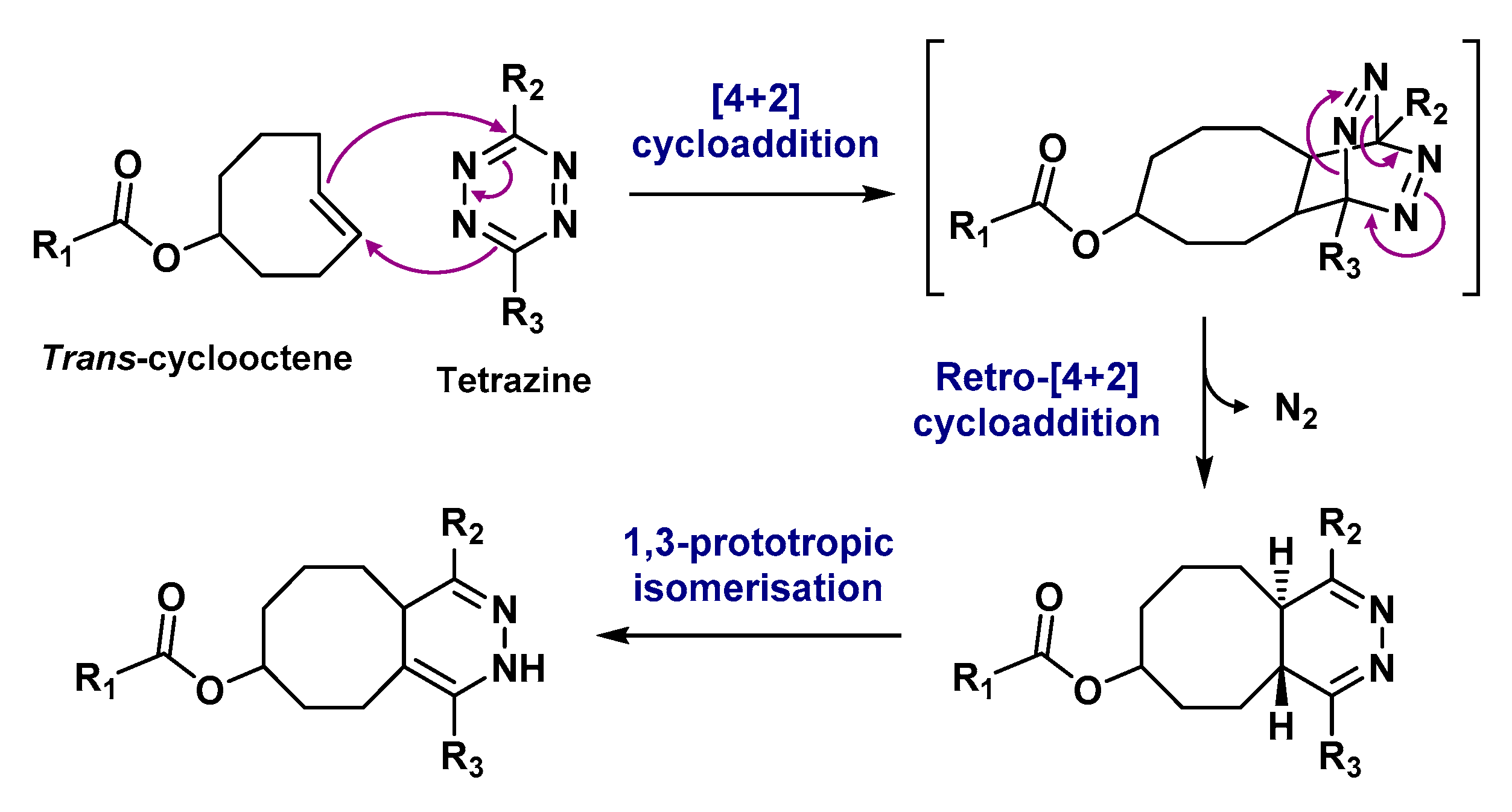 Molecules 24 02866 g016 Molecules 24 02866 g016