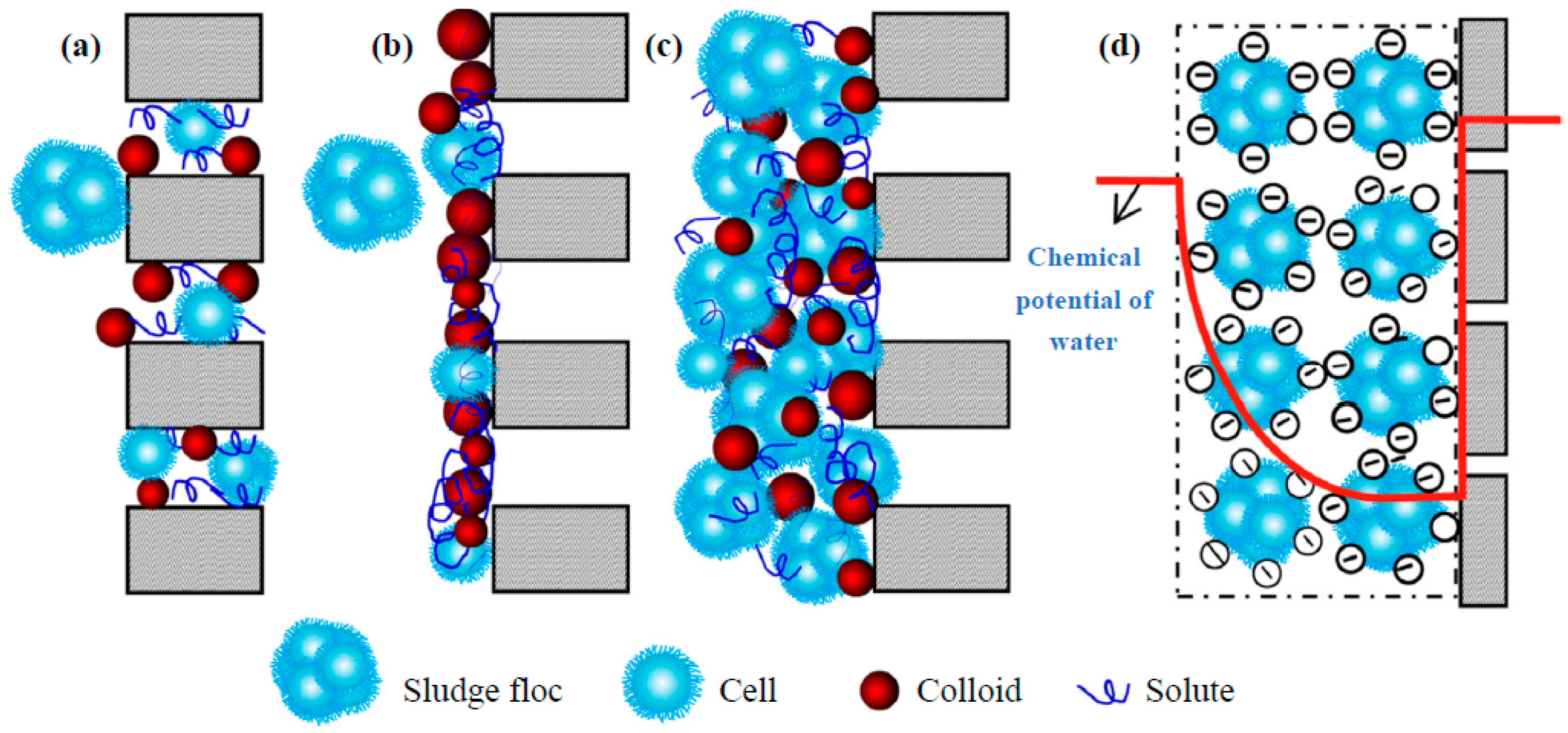 Molecules 24 02867 g002