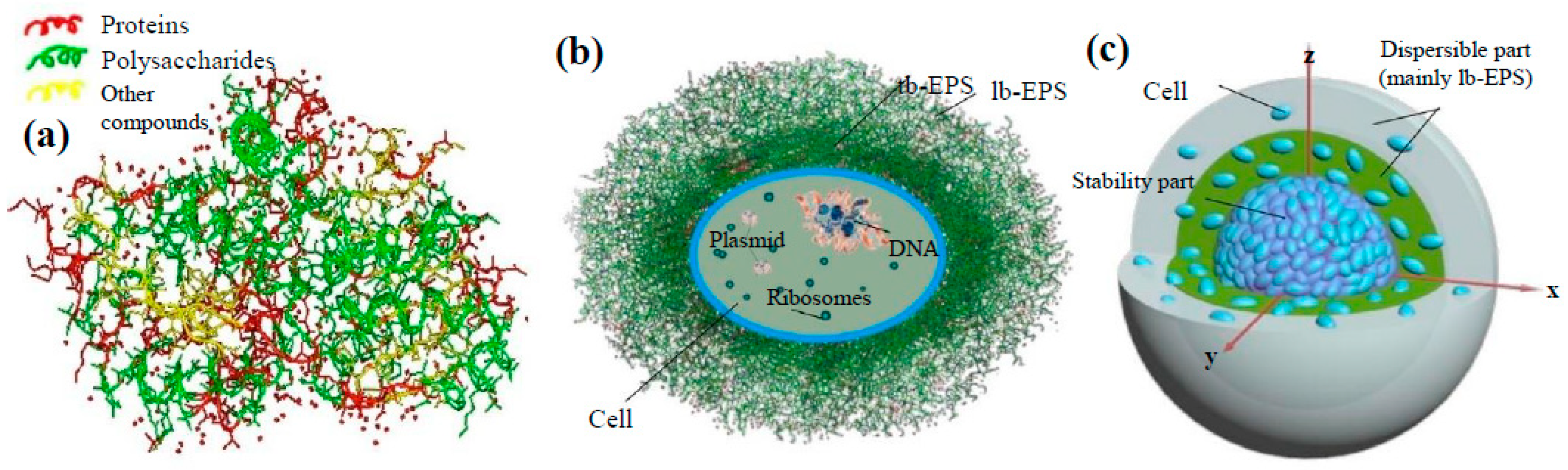 Molecules 24 02867 g003