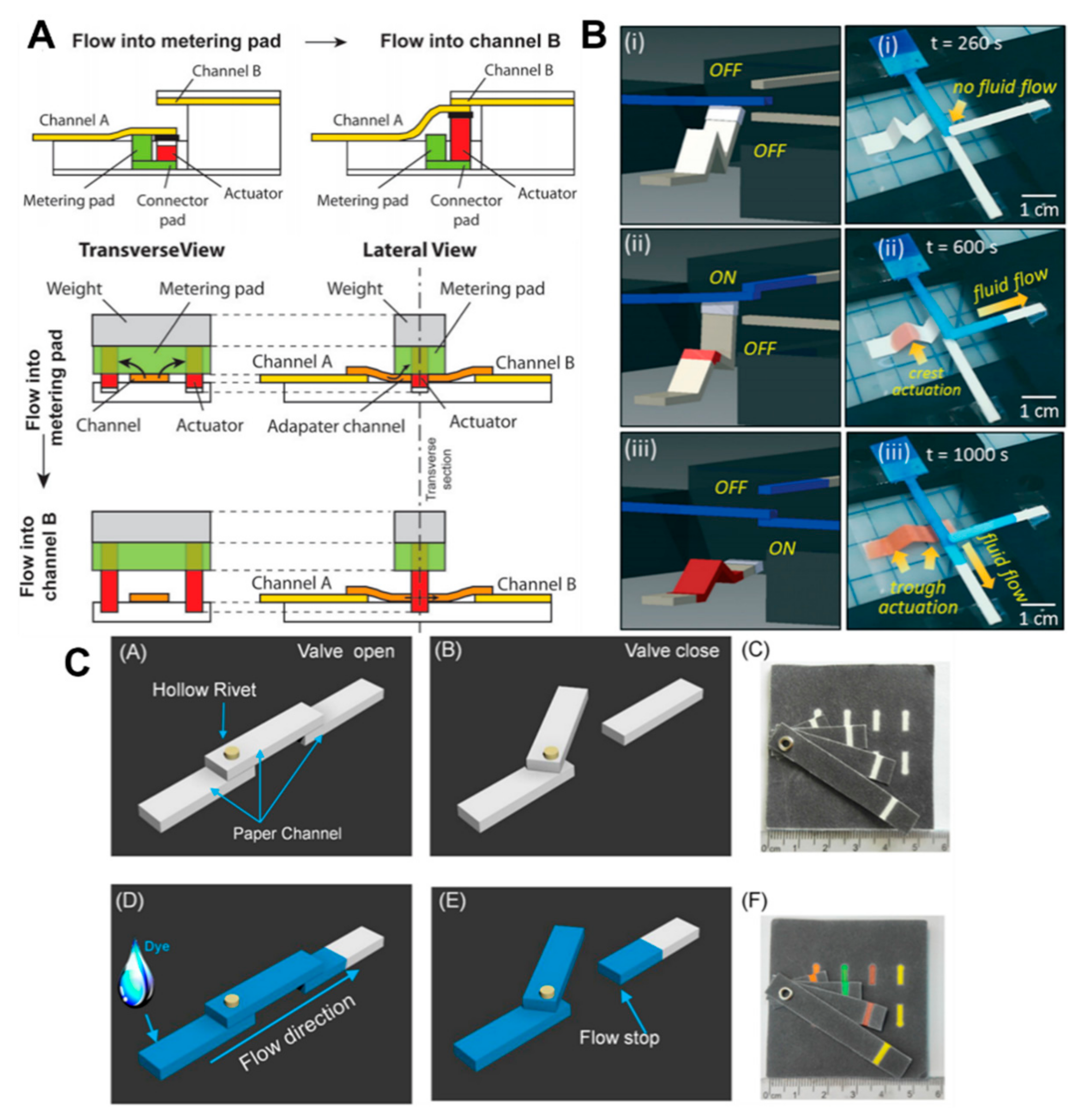 Molecules 24 02869 g006 Molecules 24 02869 g006