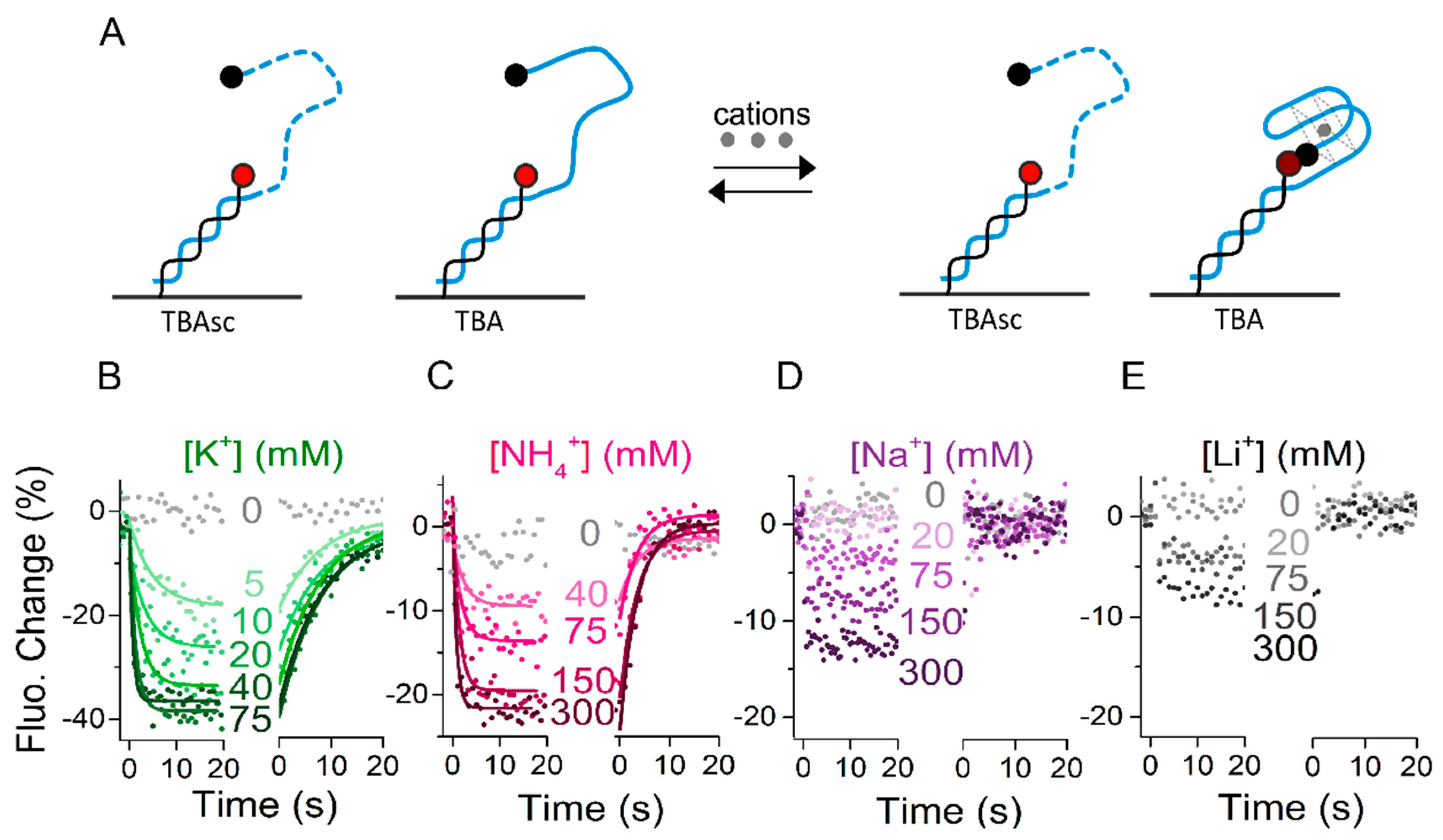 Molecules 24 02877 g002