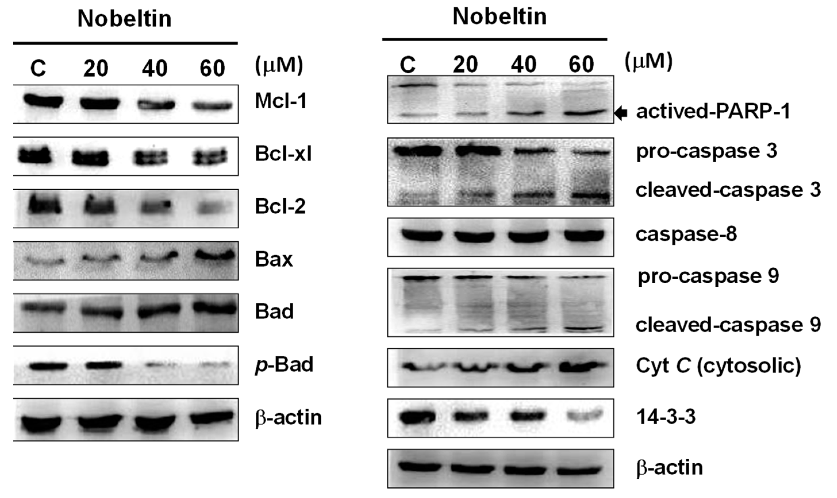 Molecules 24 02881 g003 Molecules 24 02881 g003