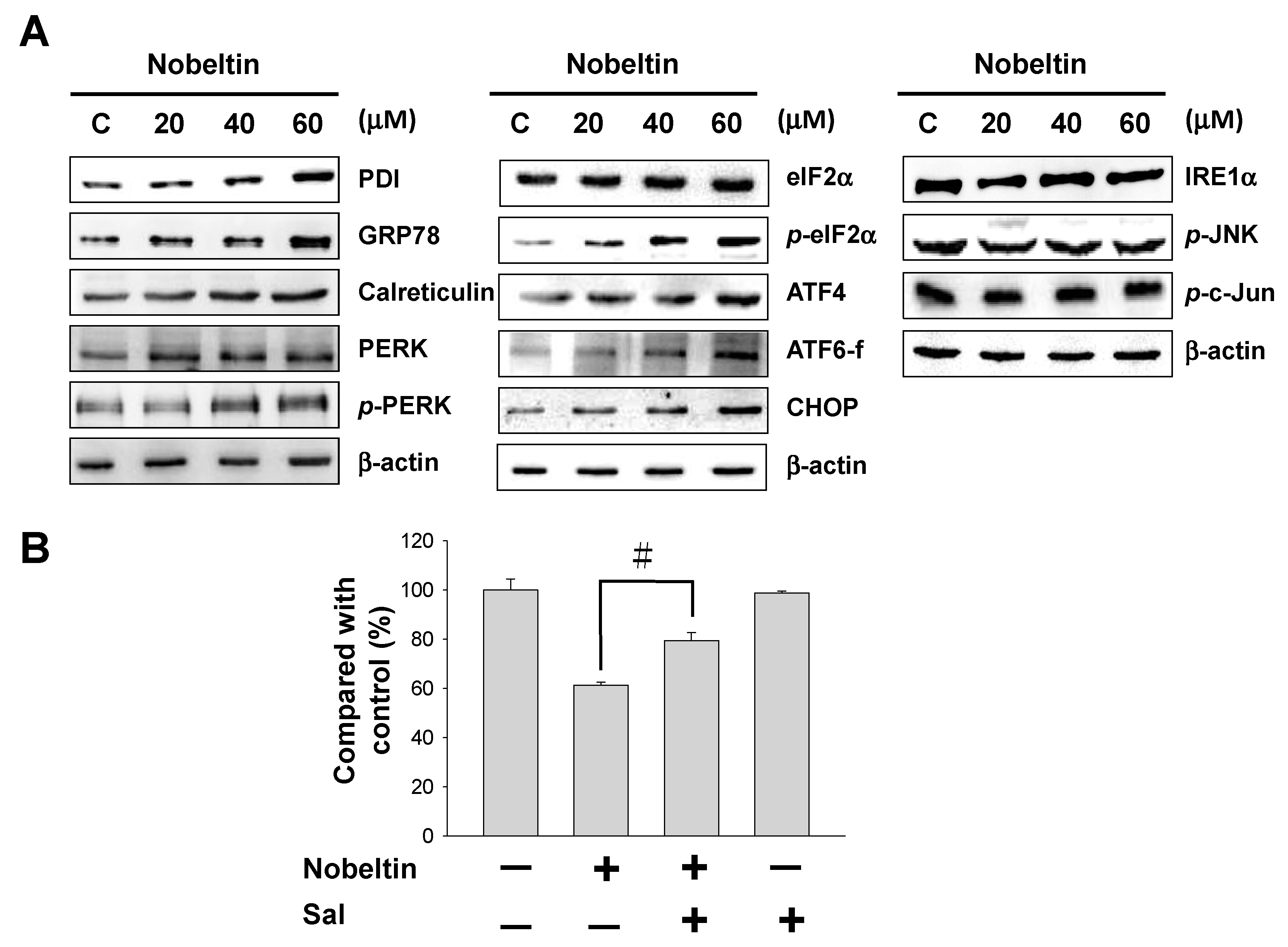 Molecules 24 02881 g004 Molecules 24 02881 g004