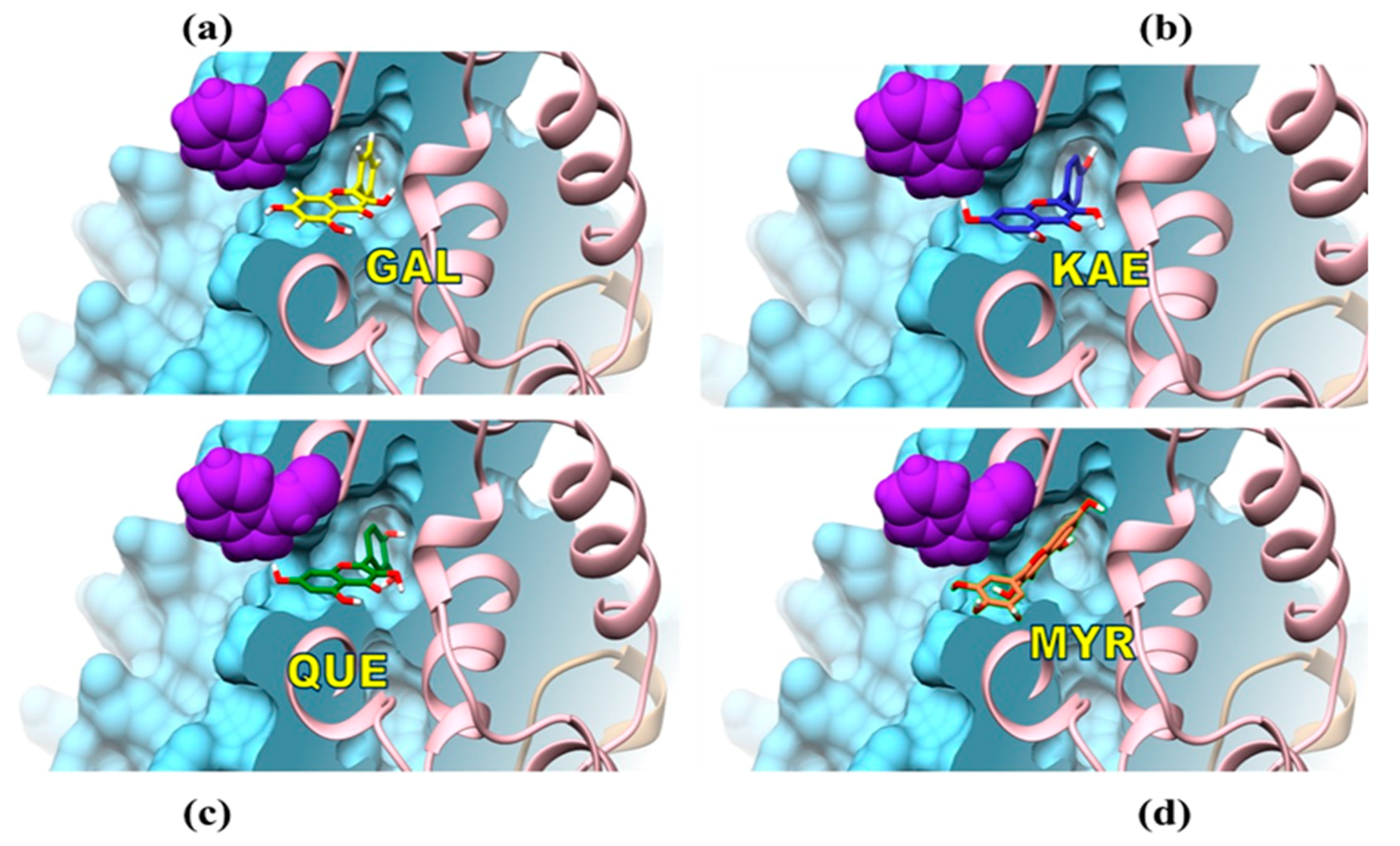 Molecules 24 02888 g011