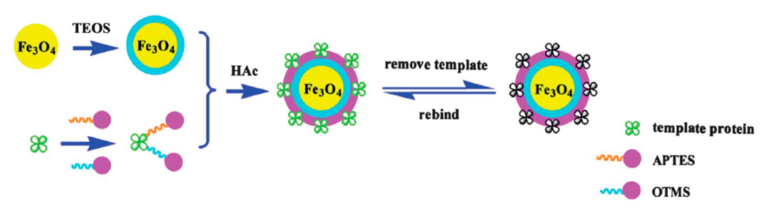 Molecules 24 02889 g006 Molecules 24 02889 g006