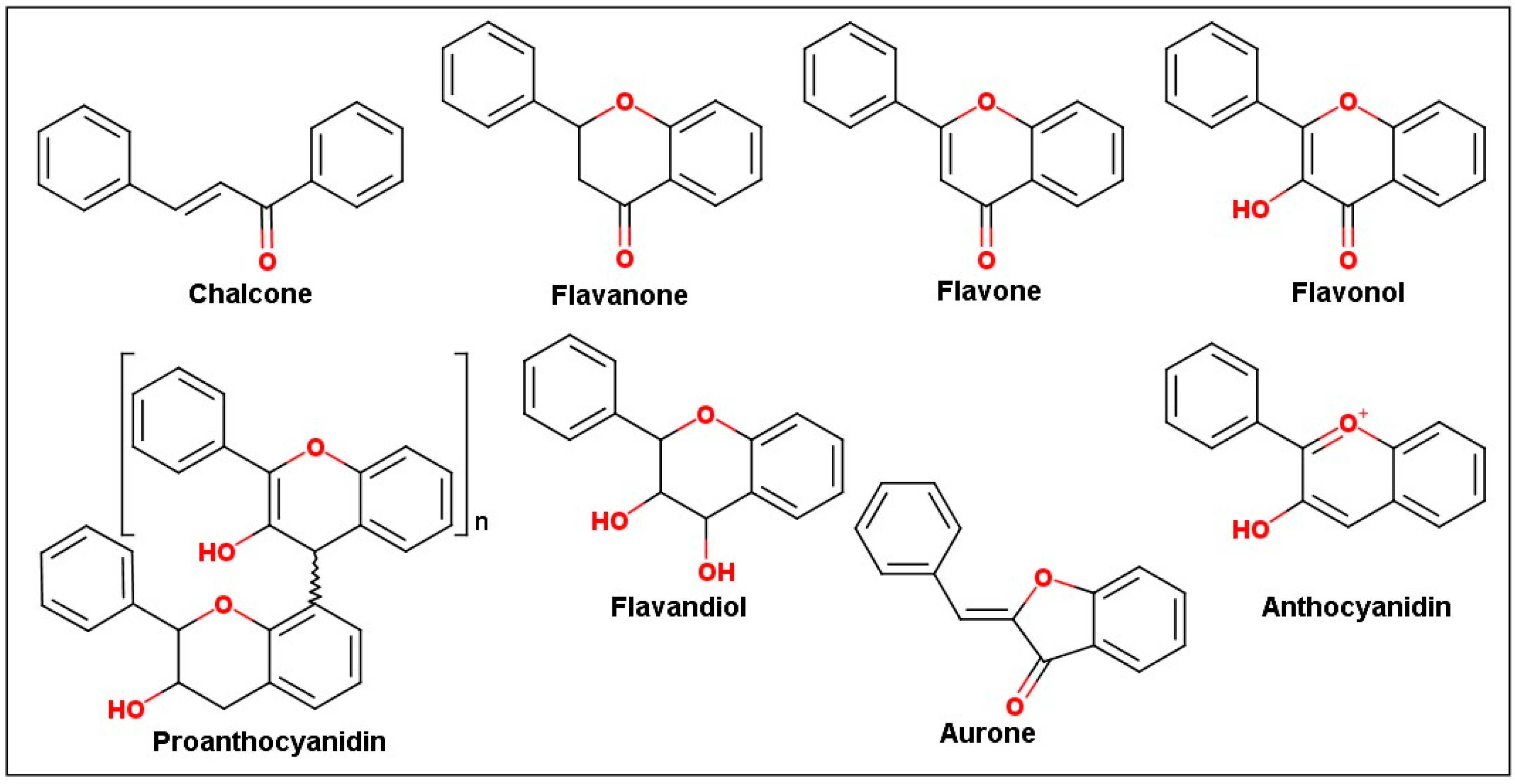 Flavonoids from Brazilian Cerrado: Biosynthesis, Chemical