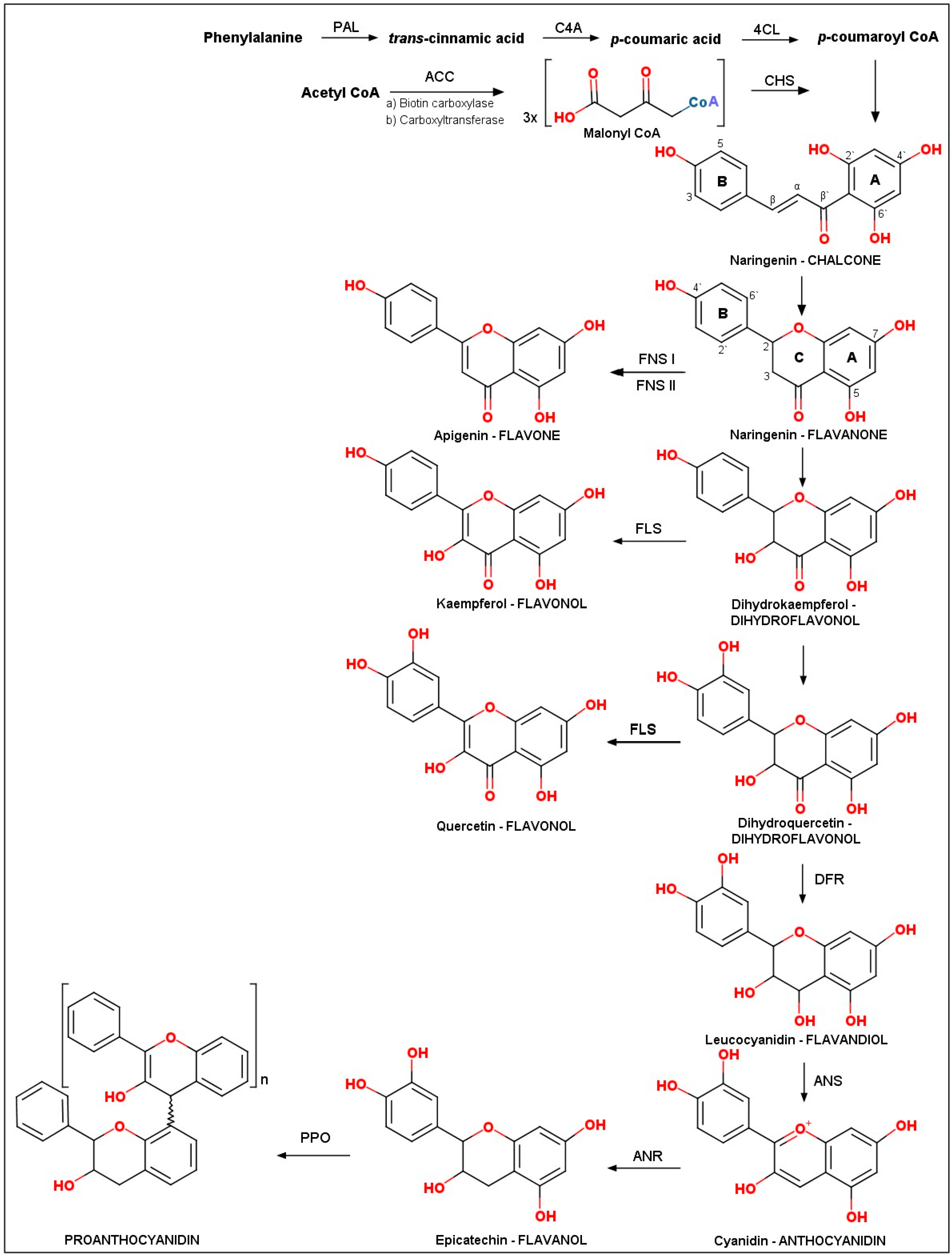 Molecules 24 02891 g003