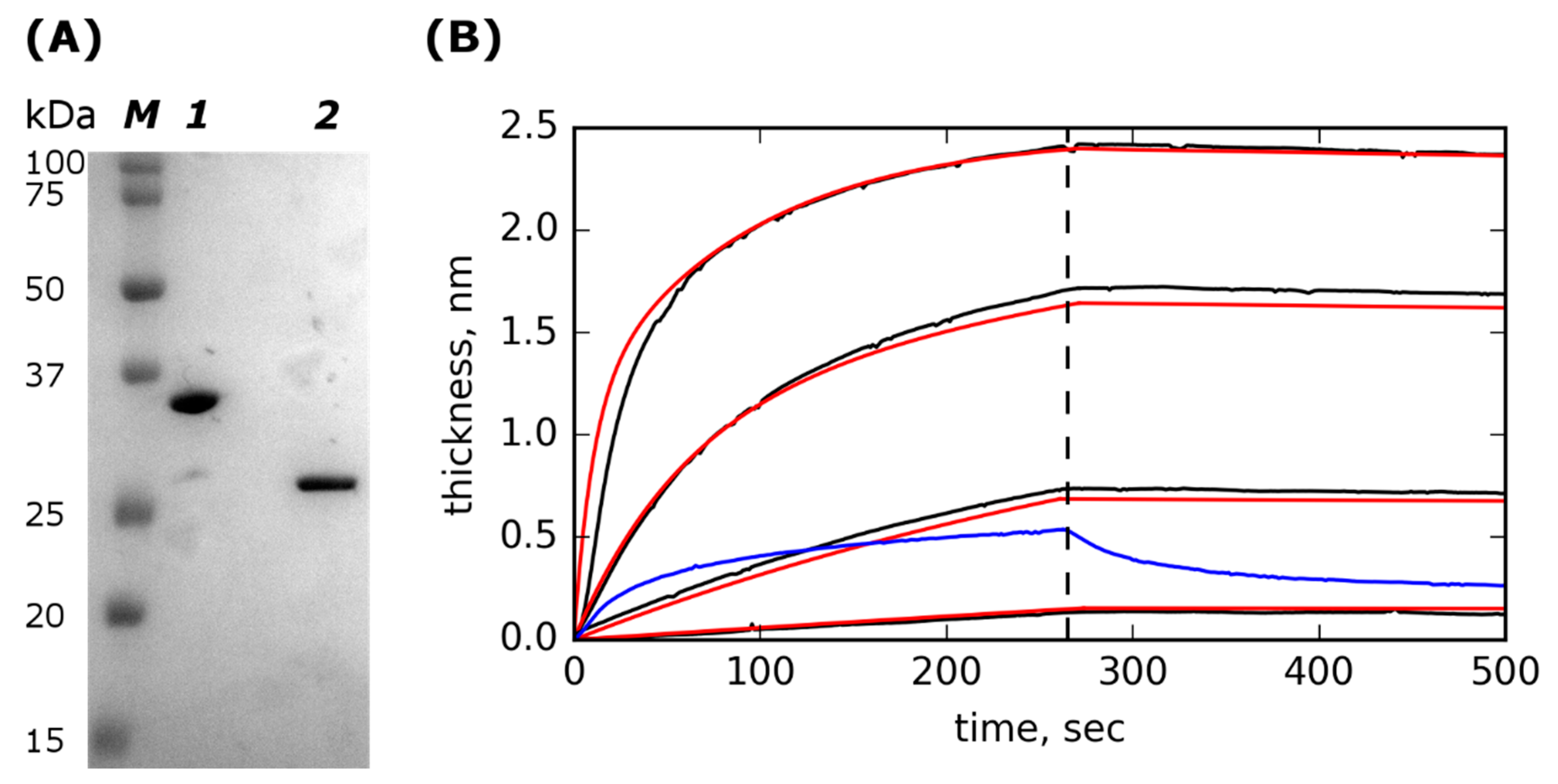 Molecules 24 02892 g001