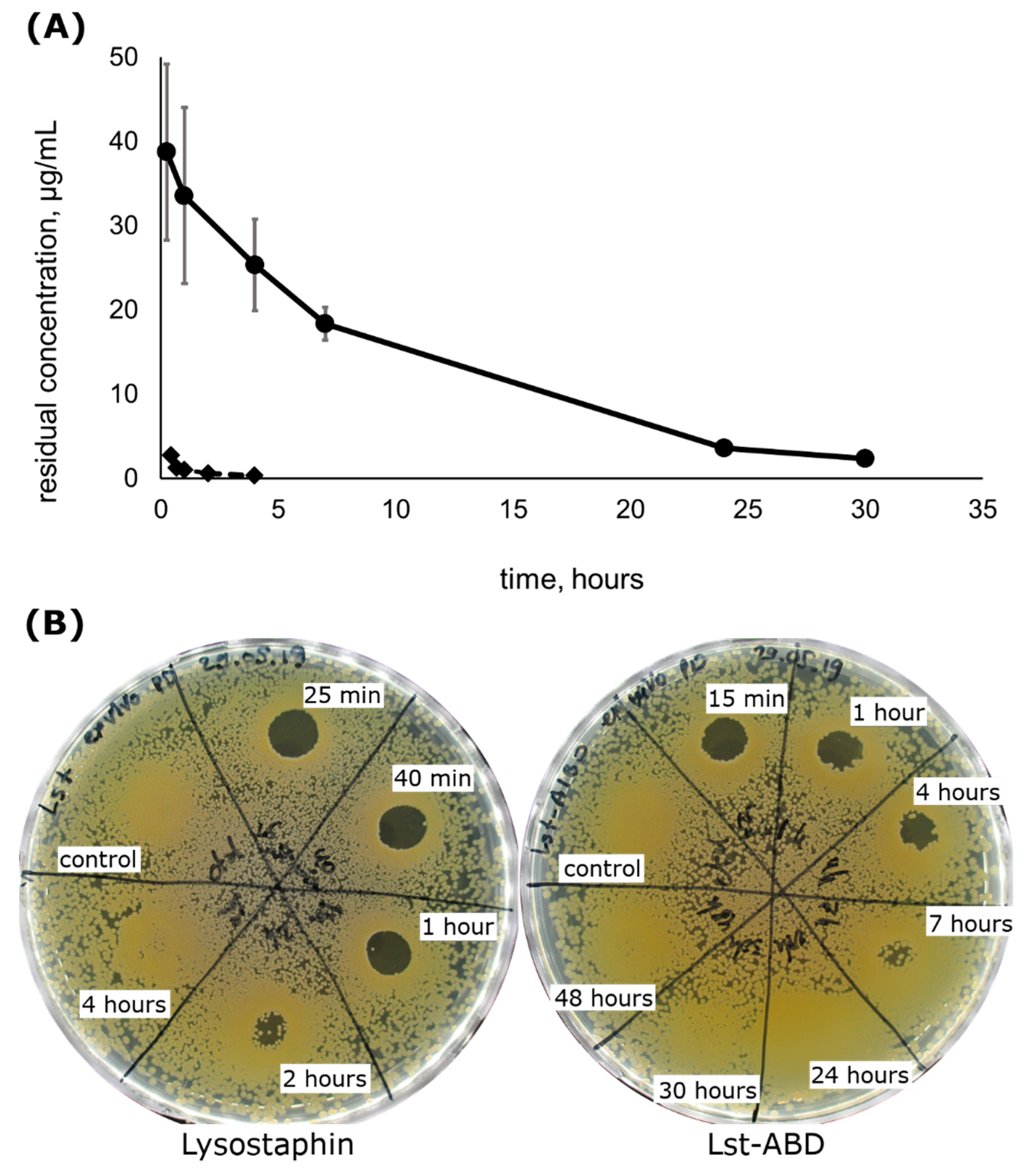Molecules 24 02892 g003
