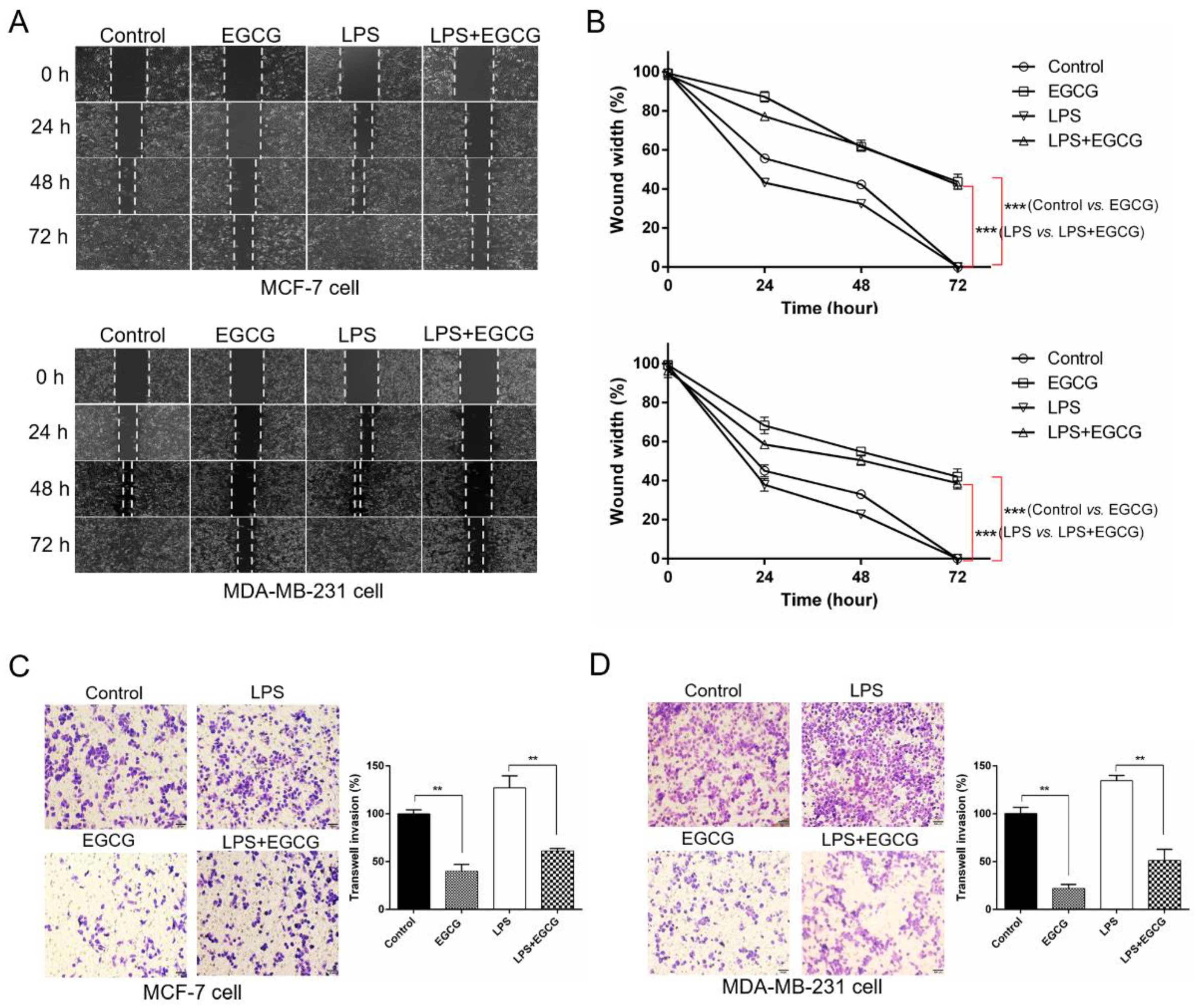 Molecules 24 02899 g002 Molecules 24 02899 g002