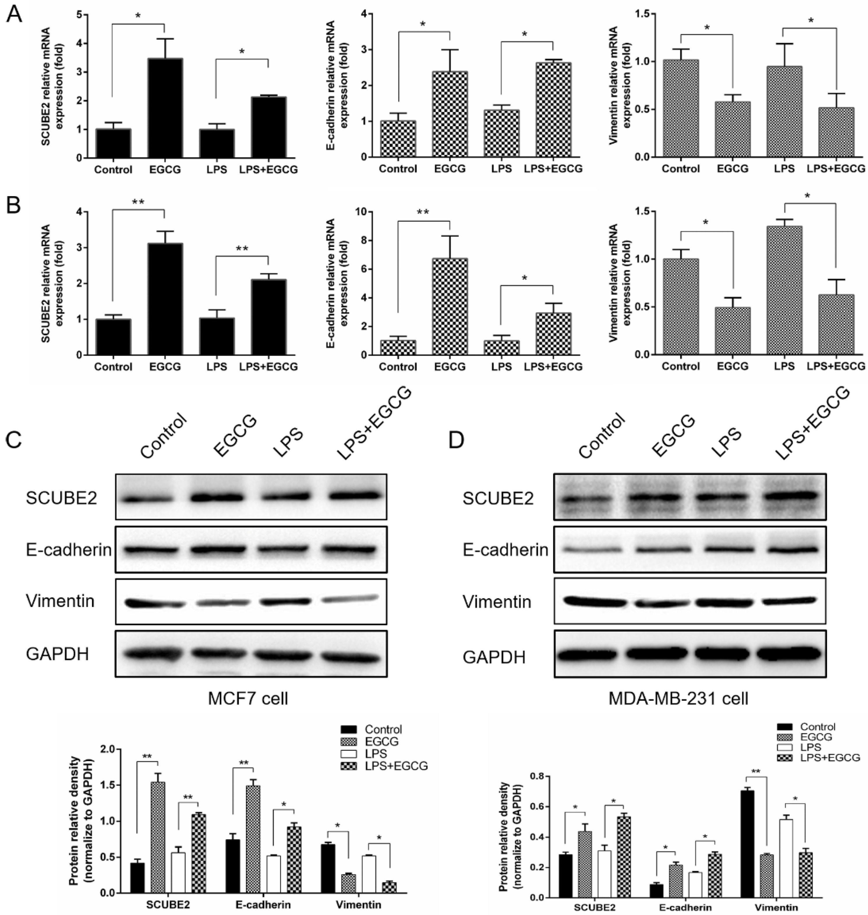 Molecules 24 02899 g003 Molecules 24 02899 g003