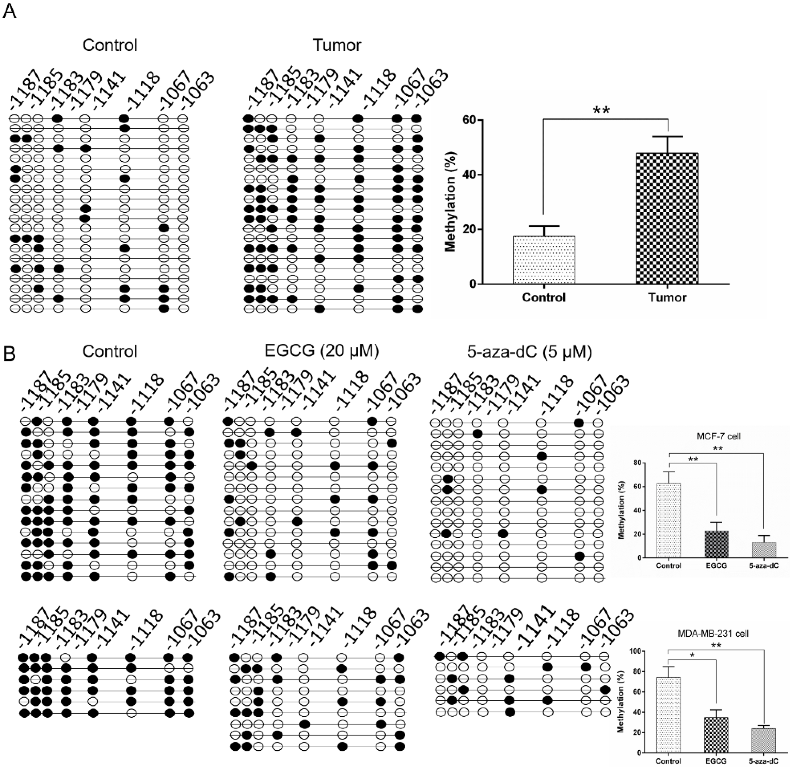 Molecules 24 02899 g005 Molecules 24 02899 g005