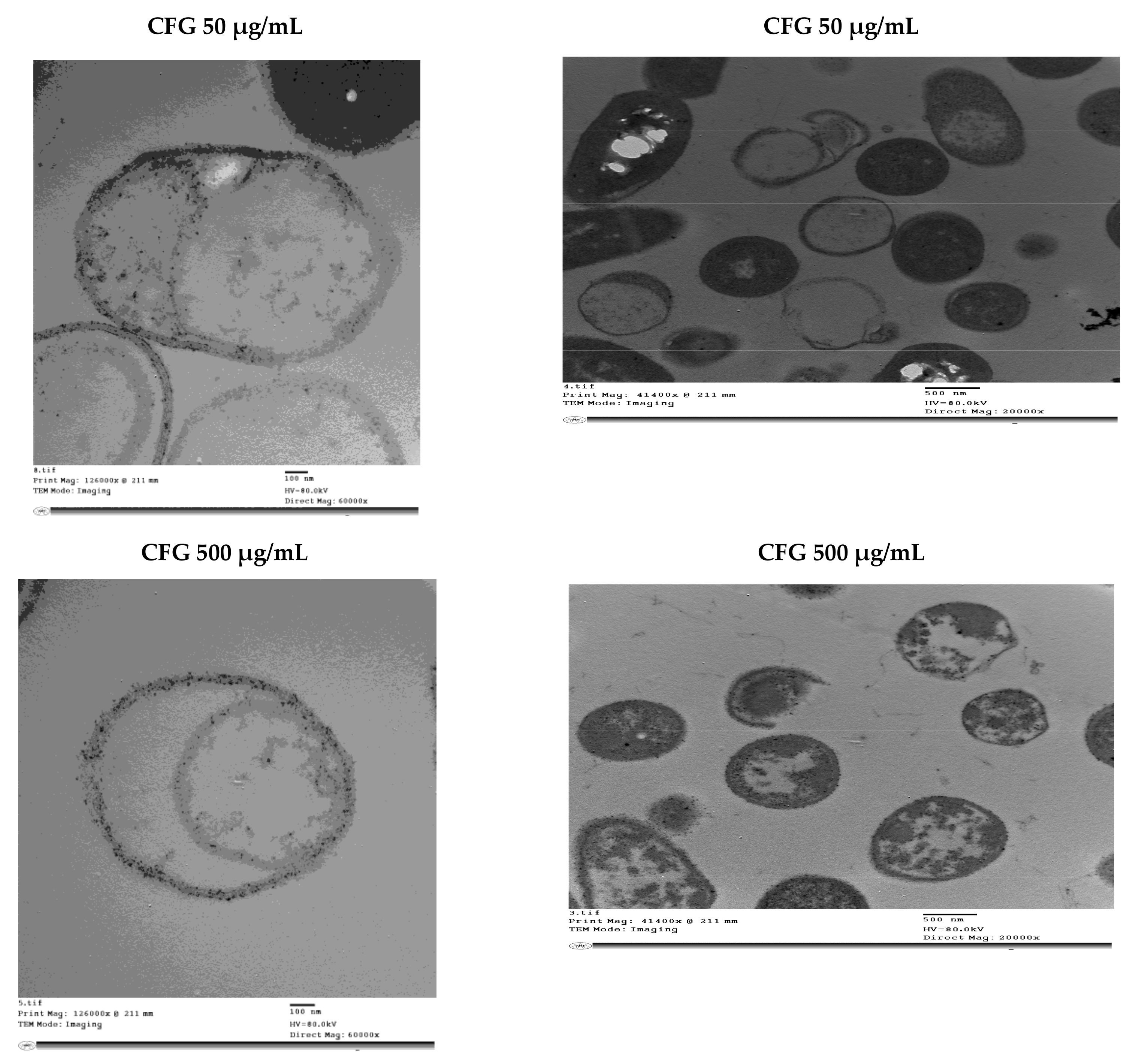 Molecules 24 02903 g005b Molecules 24 02903 g005b