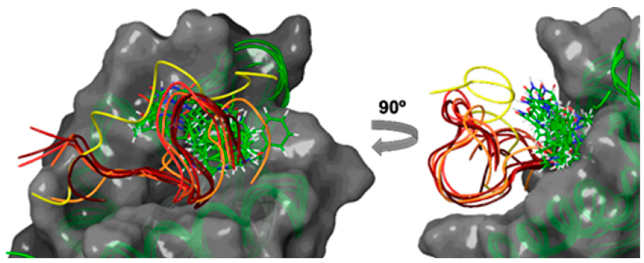 Molecules 24 02909 g003