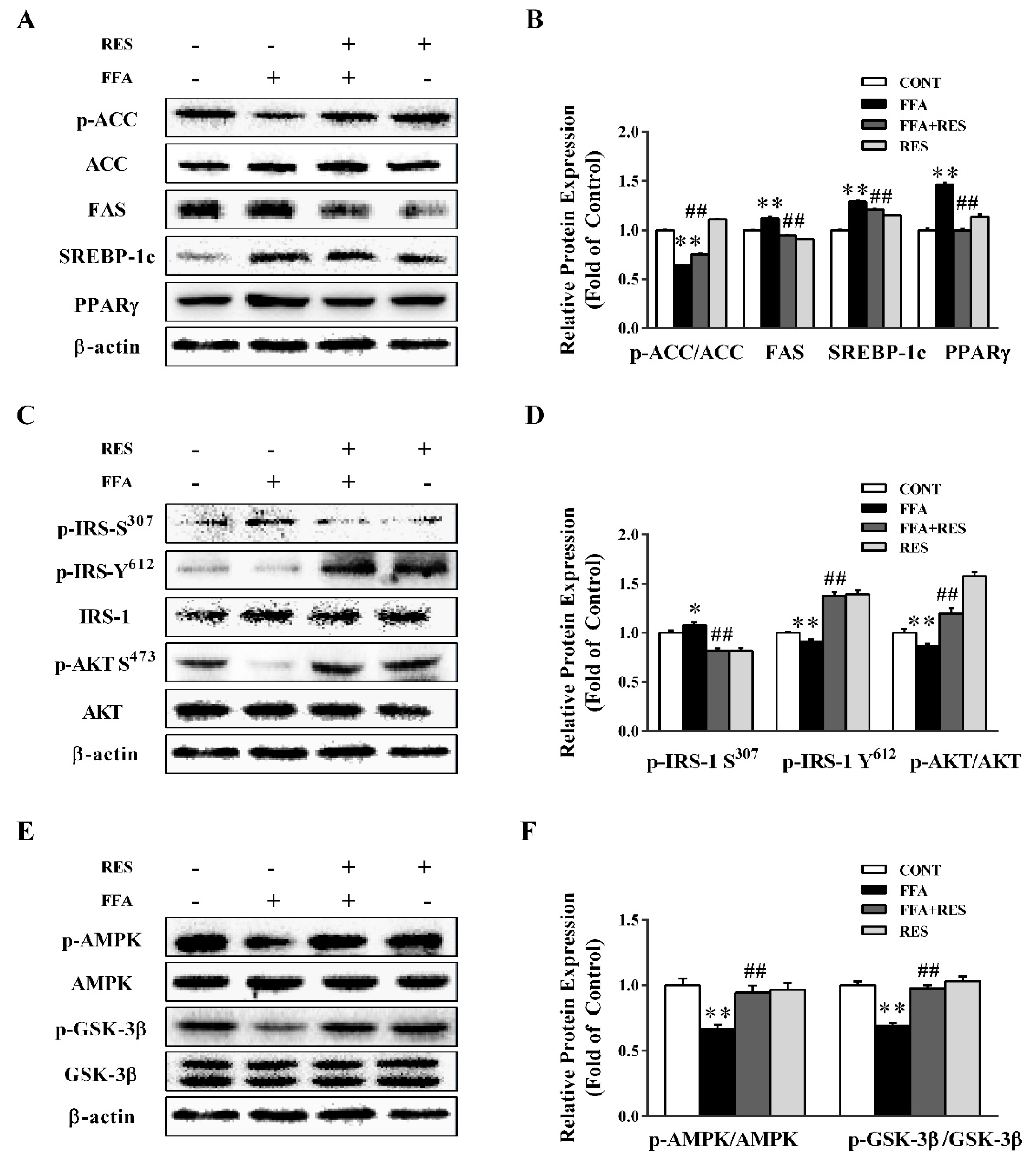 Molecules 24 02916 g002 Molecules 24 02916 g002