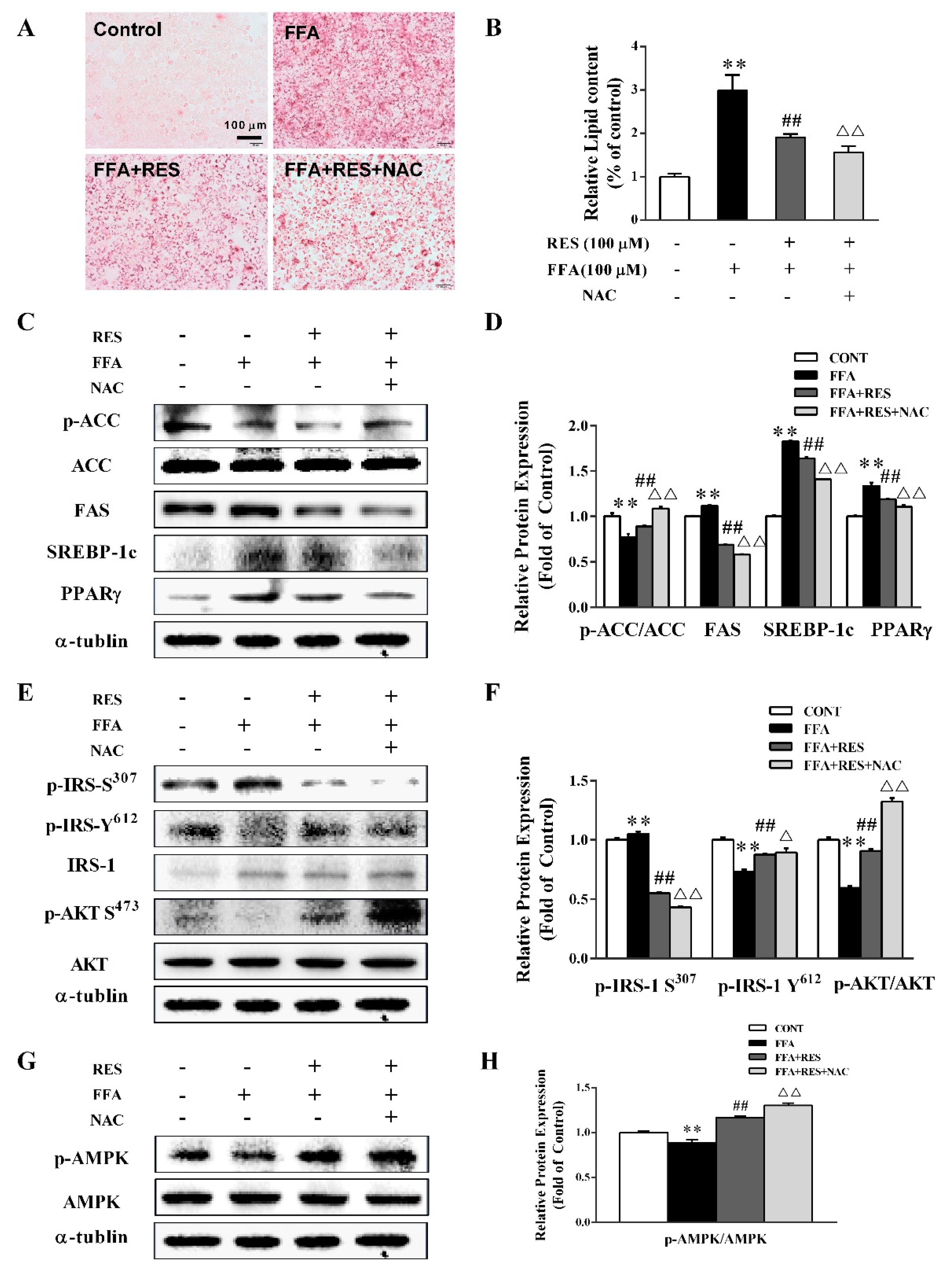 Molecules 24 02916 g004 Molecules 24 02916 g004
