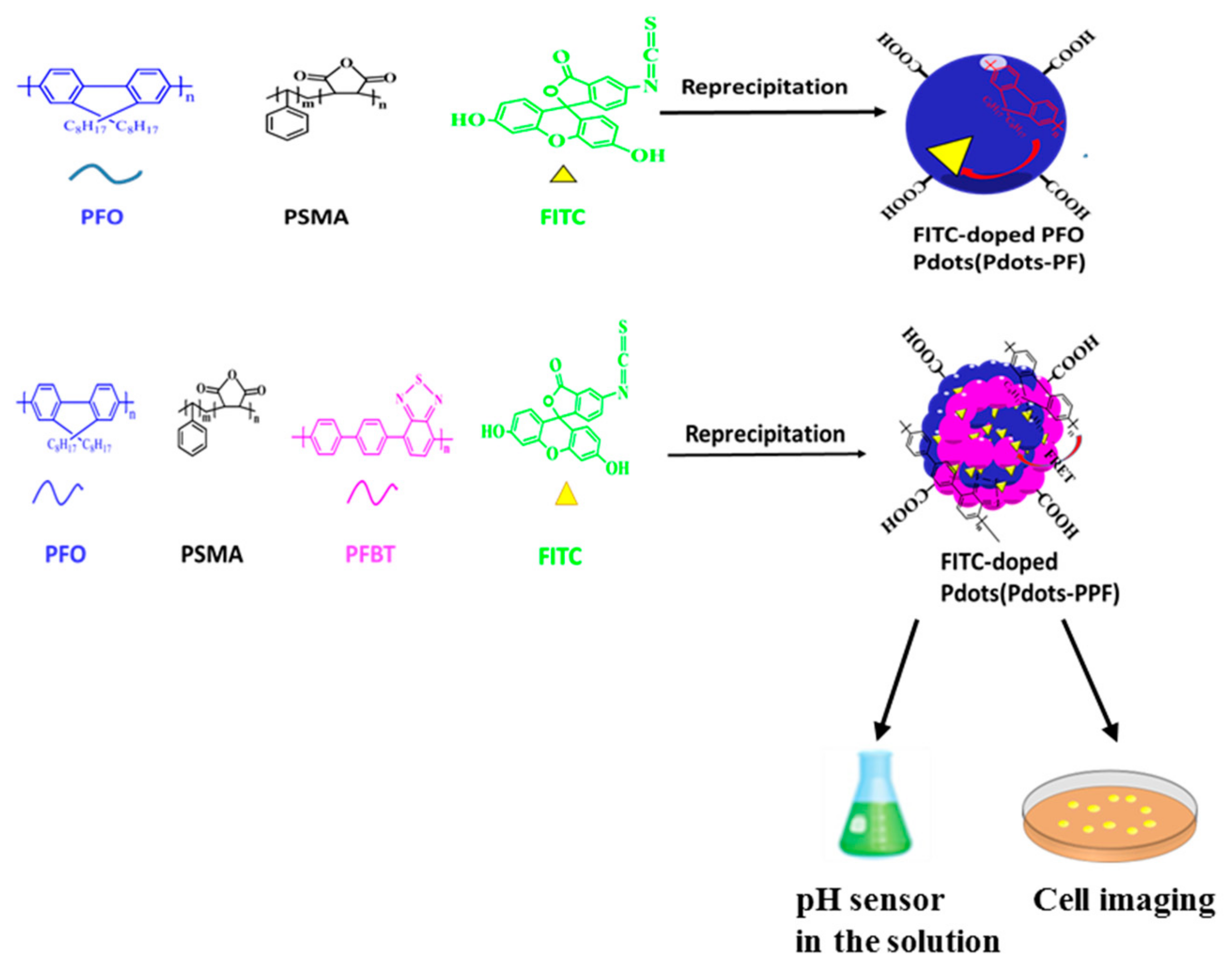 Molecules 24 02923 sch001