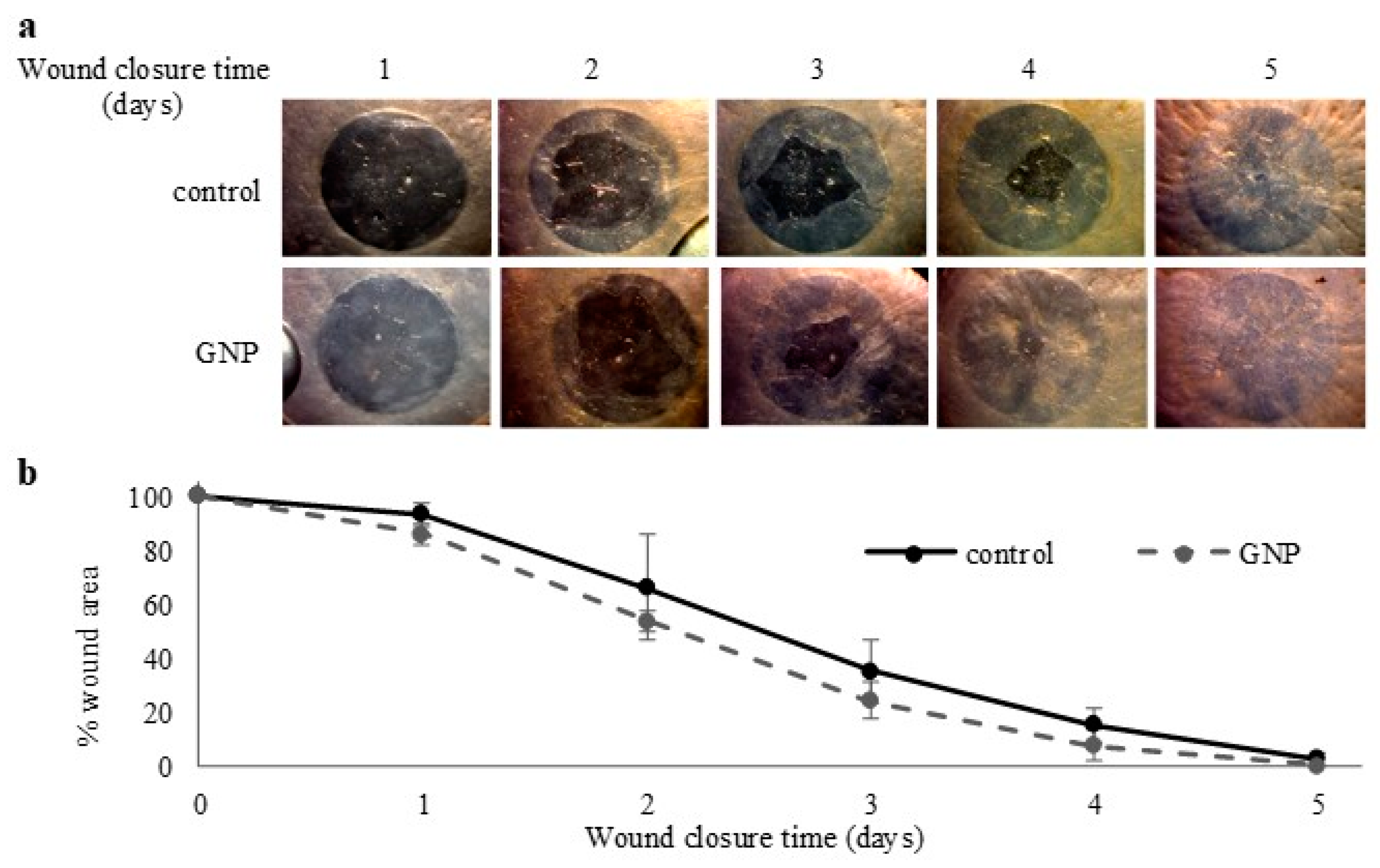 Molecules 24 02929 g004