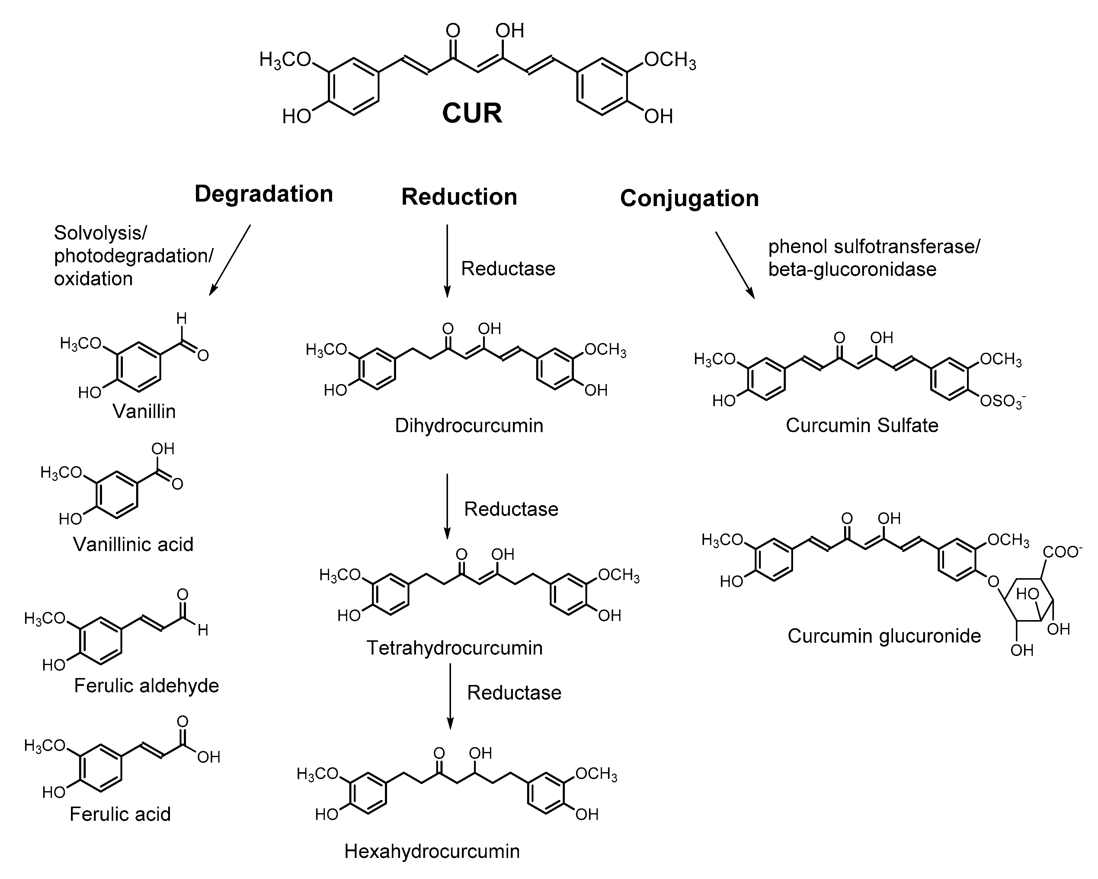 Molecules 24 02930 g003
