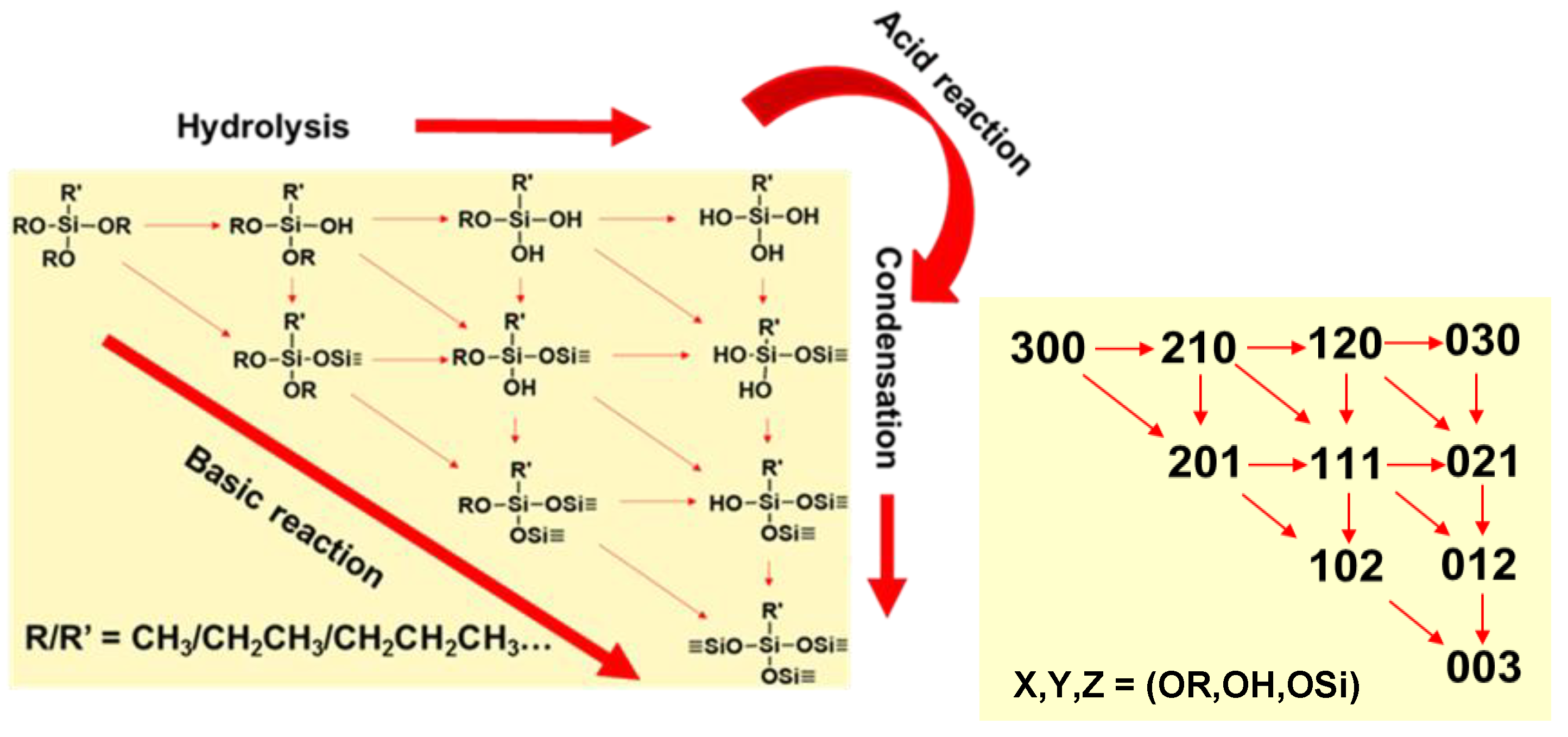 Molecules 24 02931 g001