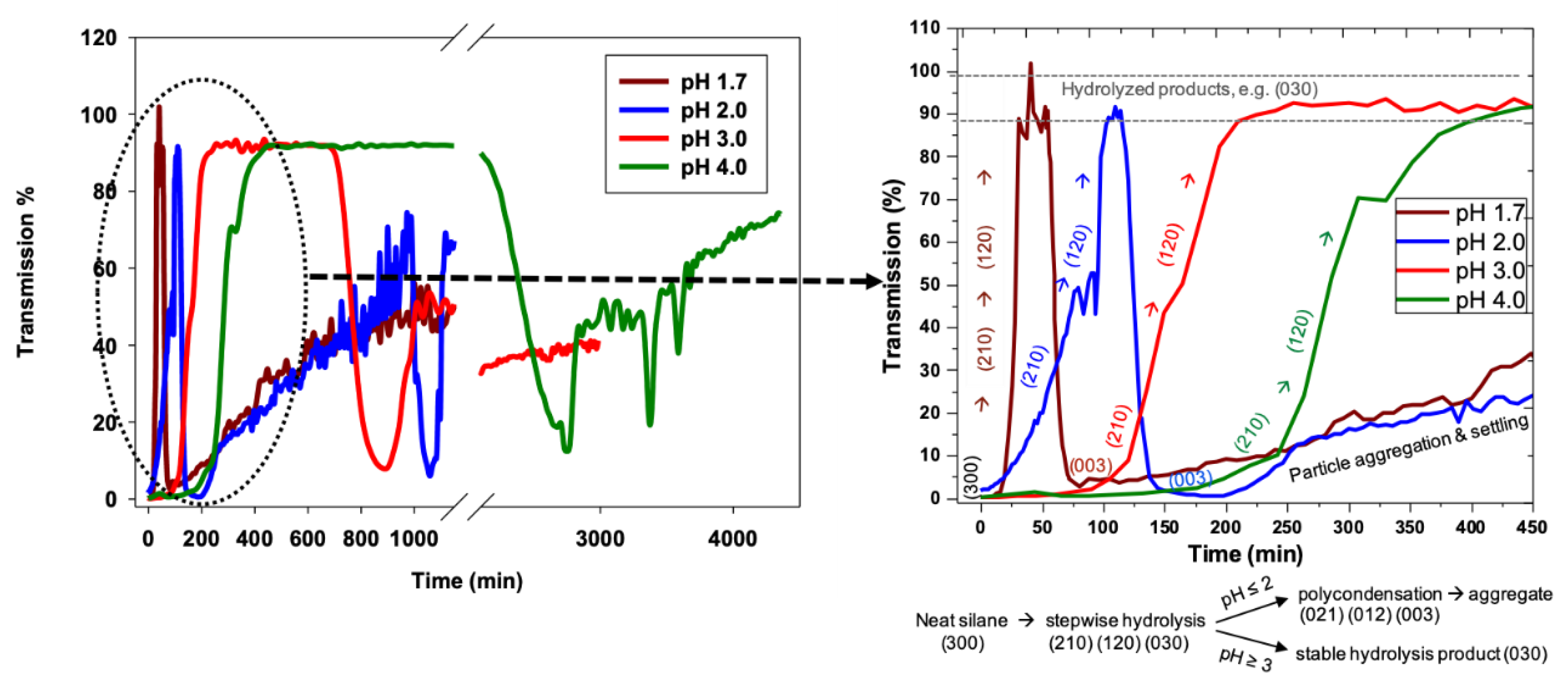 Molecules 24 02931 g005