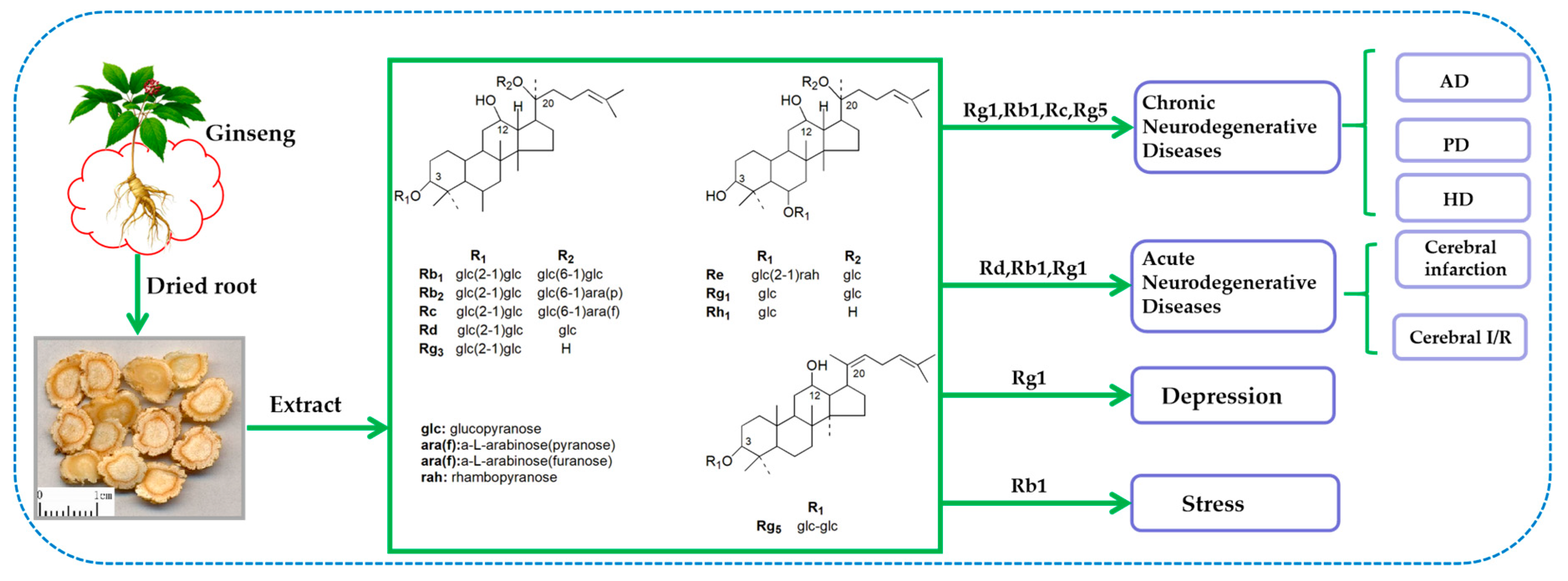 Molecules 24 02939 g002