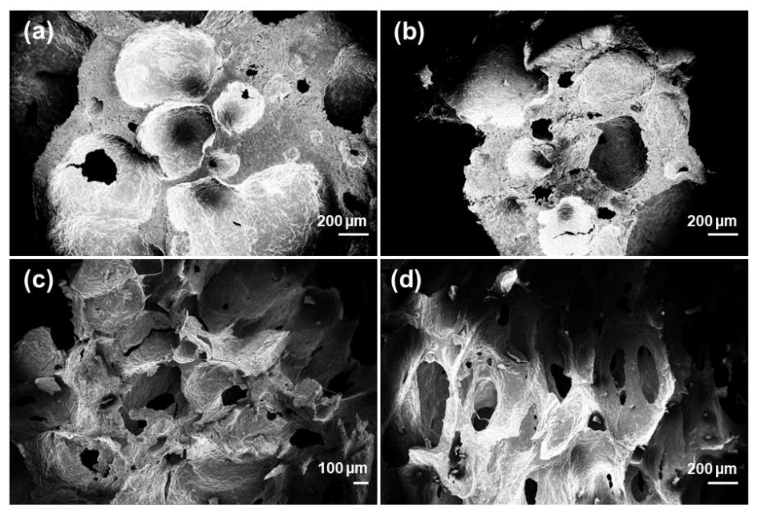 Molecules 24 02954 g001 Molecules 24 02954 g001