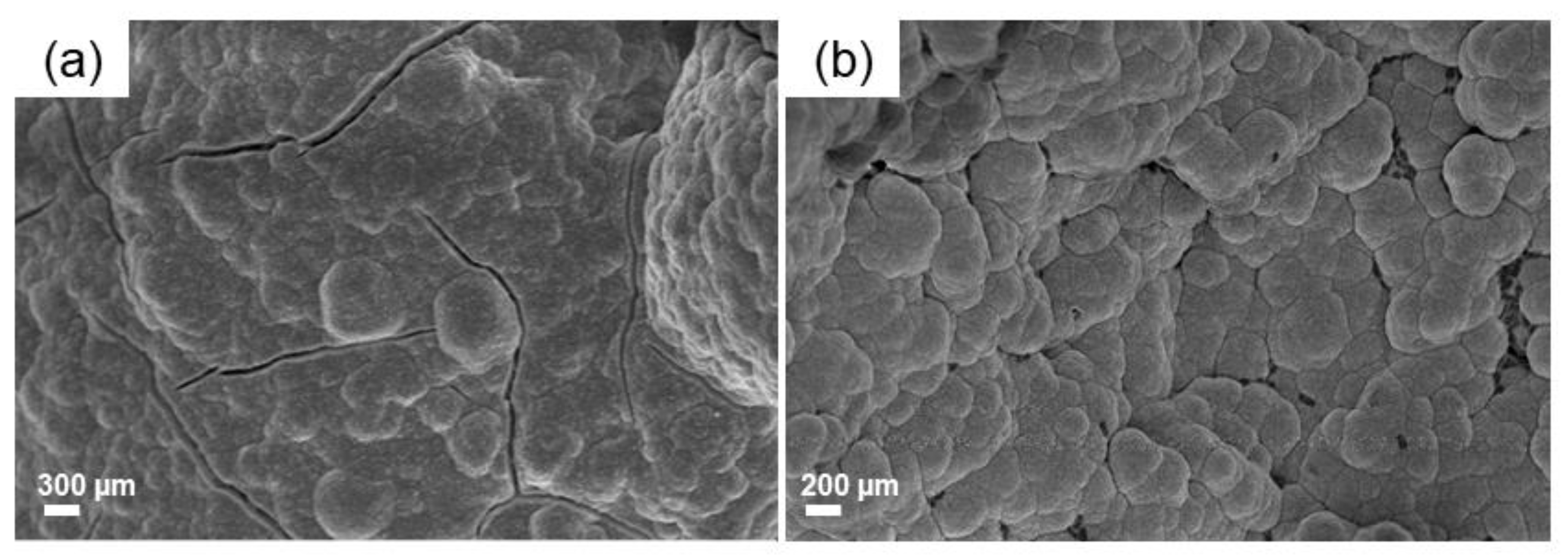 Molecules 24 02954 g007 Molecules 24 02954 g007