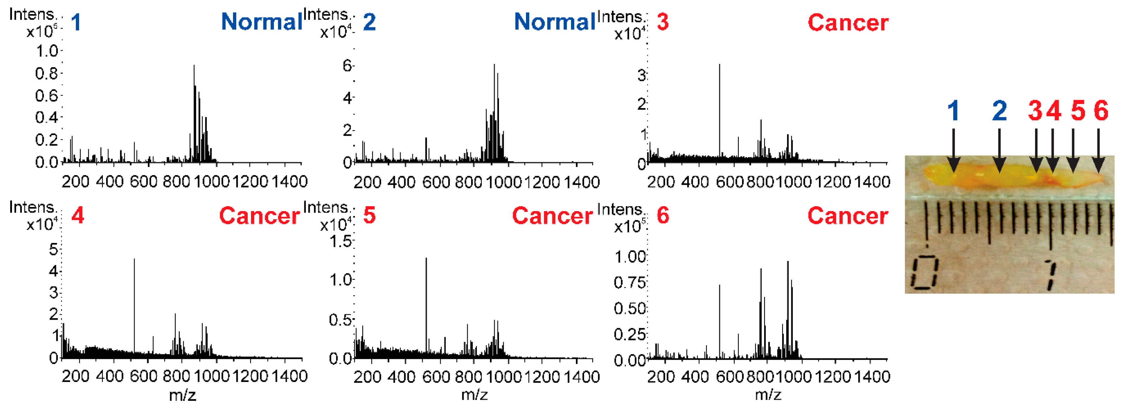 Molecules 24 02957 g006 Molecules 24 02957 g006