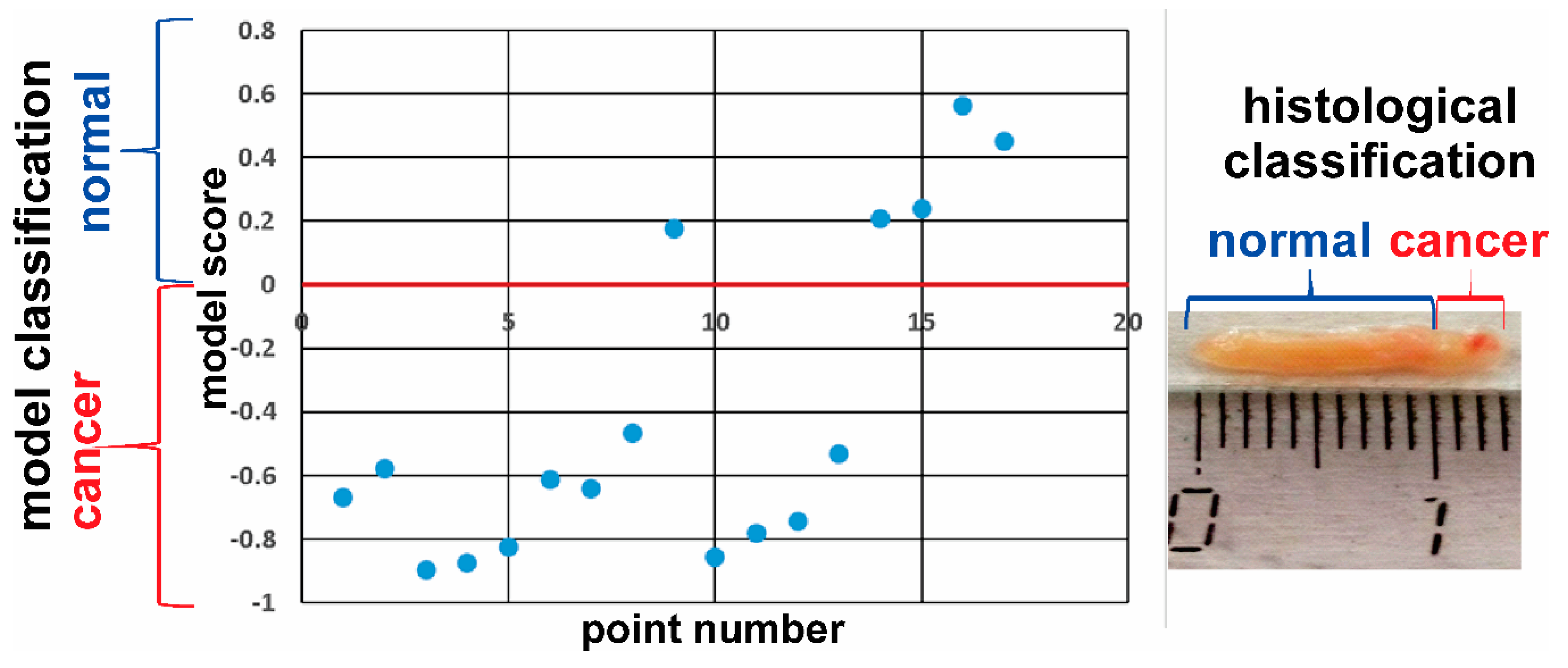 Molecules 24 02957 g007 Molecules 24 02957 g007