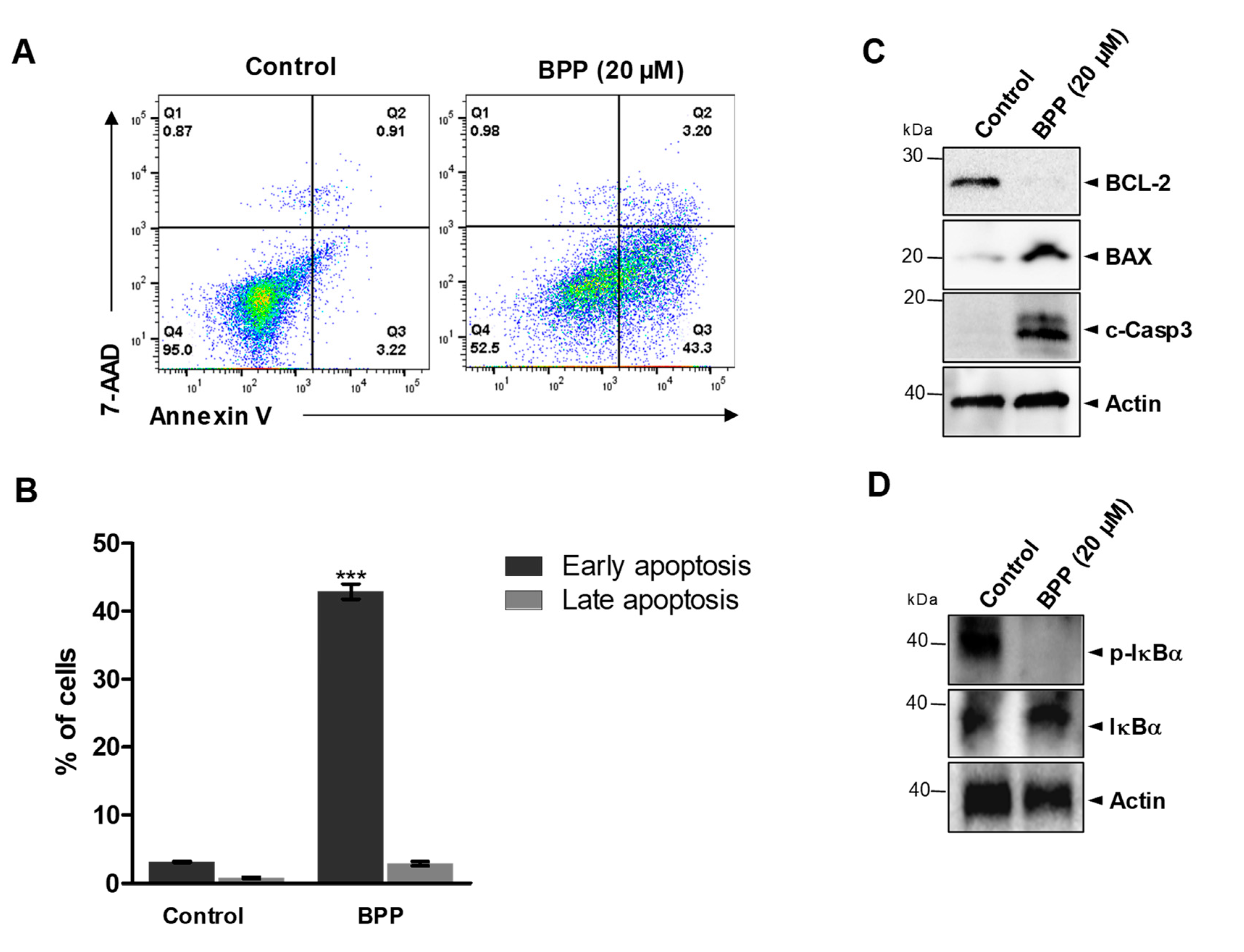 Molecules 24 02960 g002