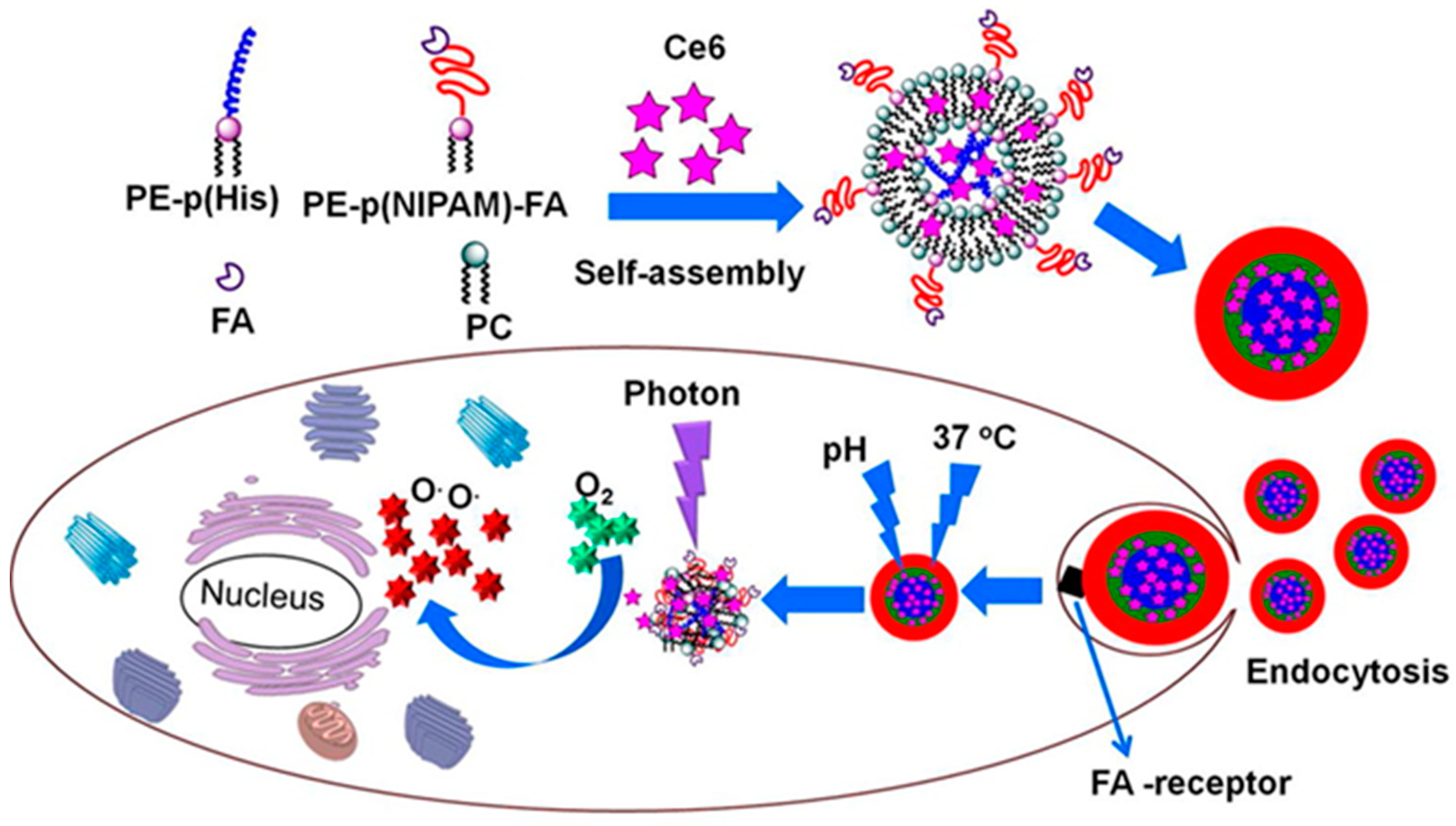 Molecules 24 02961 g005 Molecules 24 02961 g005