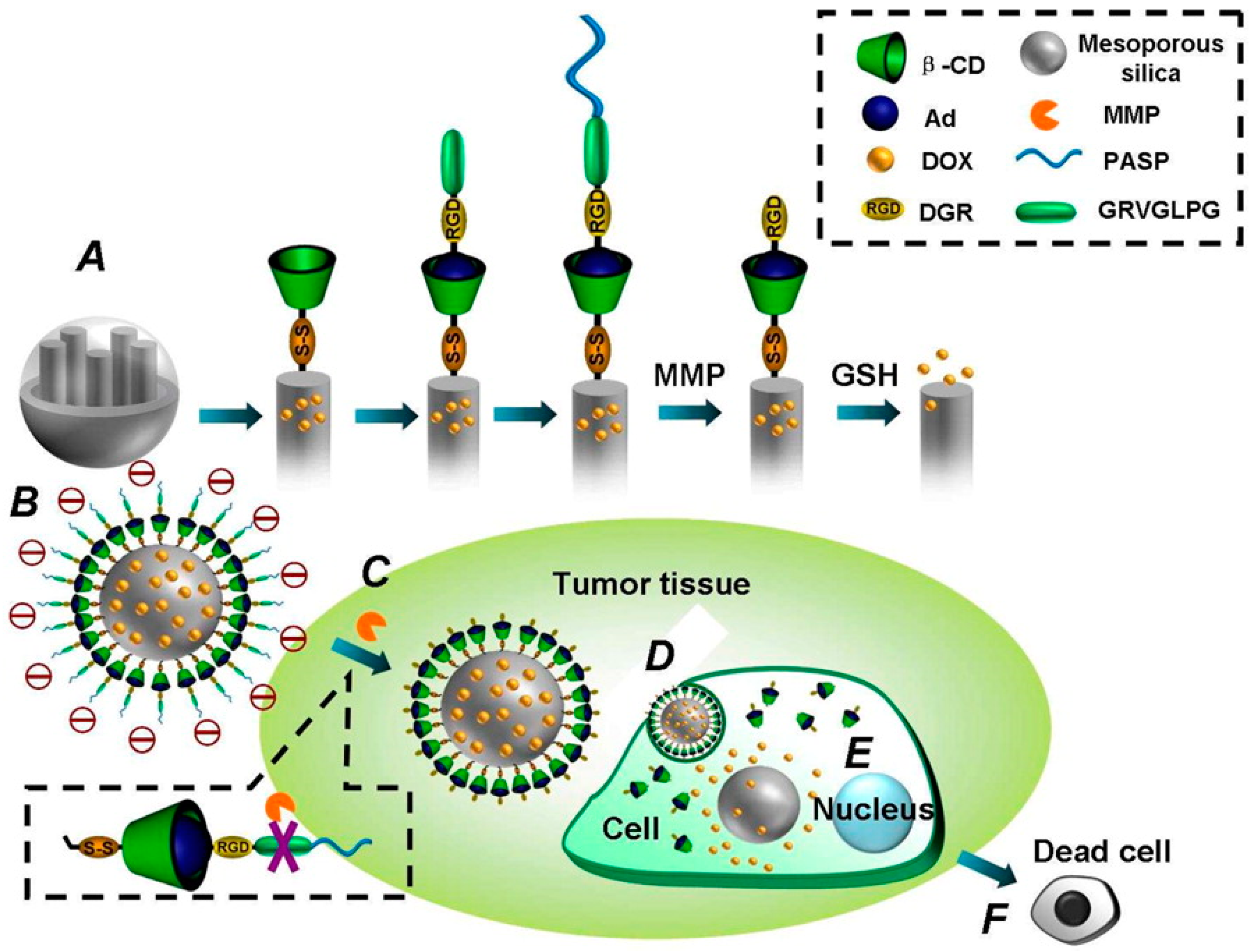 Molecules 24 02961 g008 Molecules 24 02961 g008