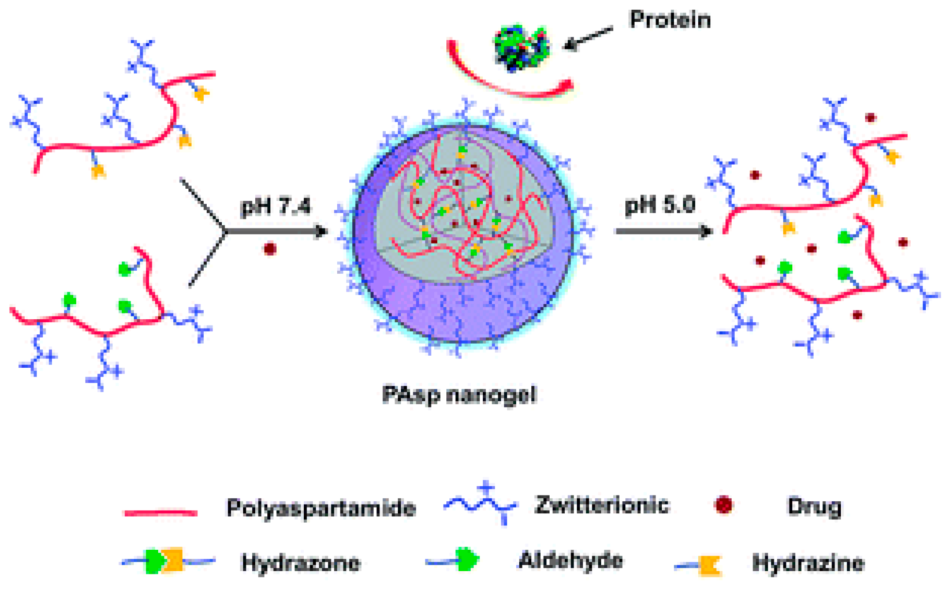 Molecules 24 02961 g009 Molecules 24 02961 g009