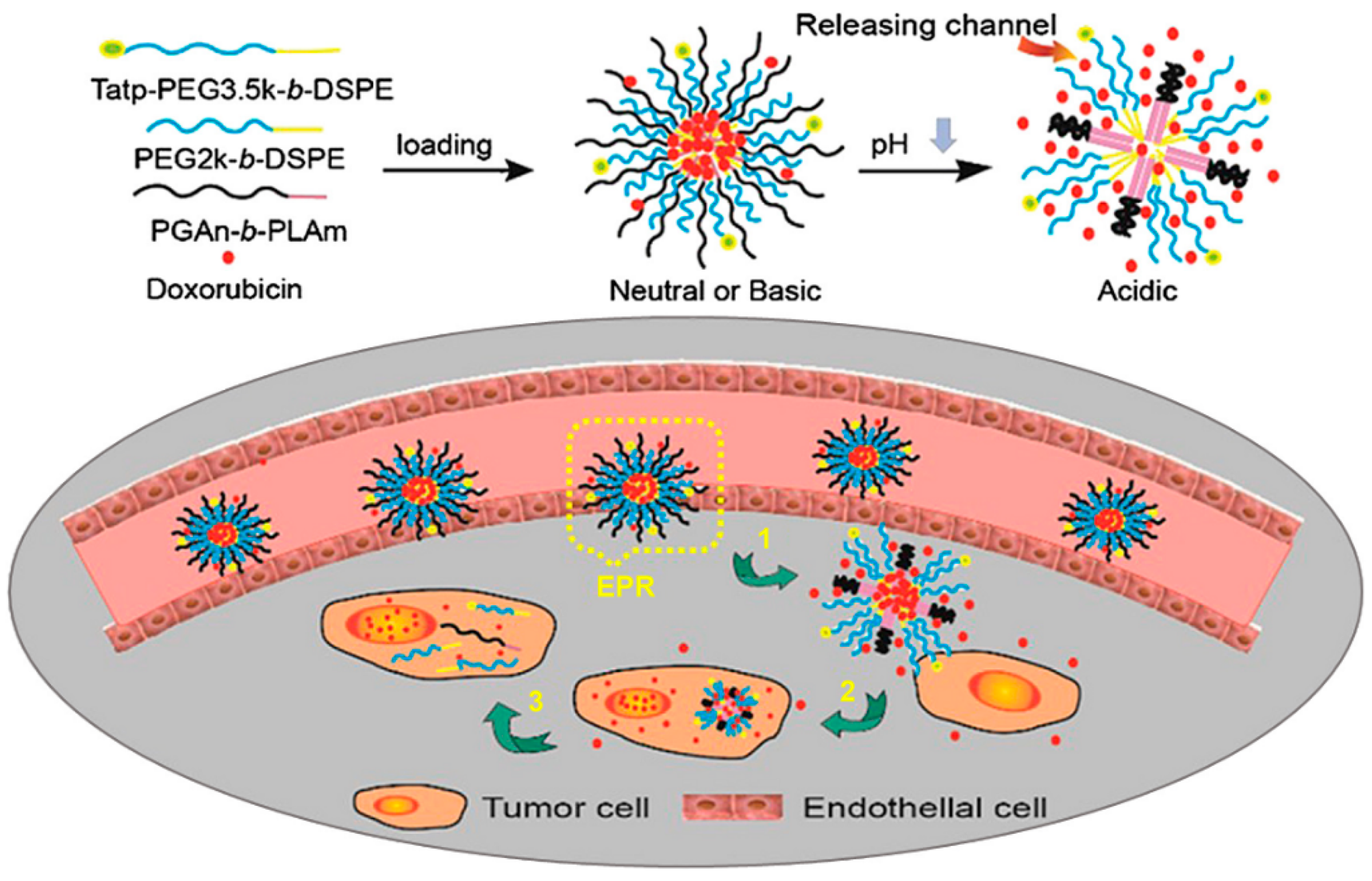 Molecules 24 02961 g014 Molecules 24 02961 g014