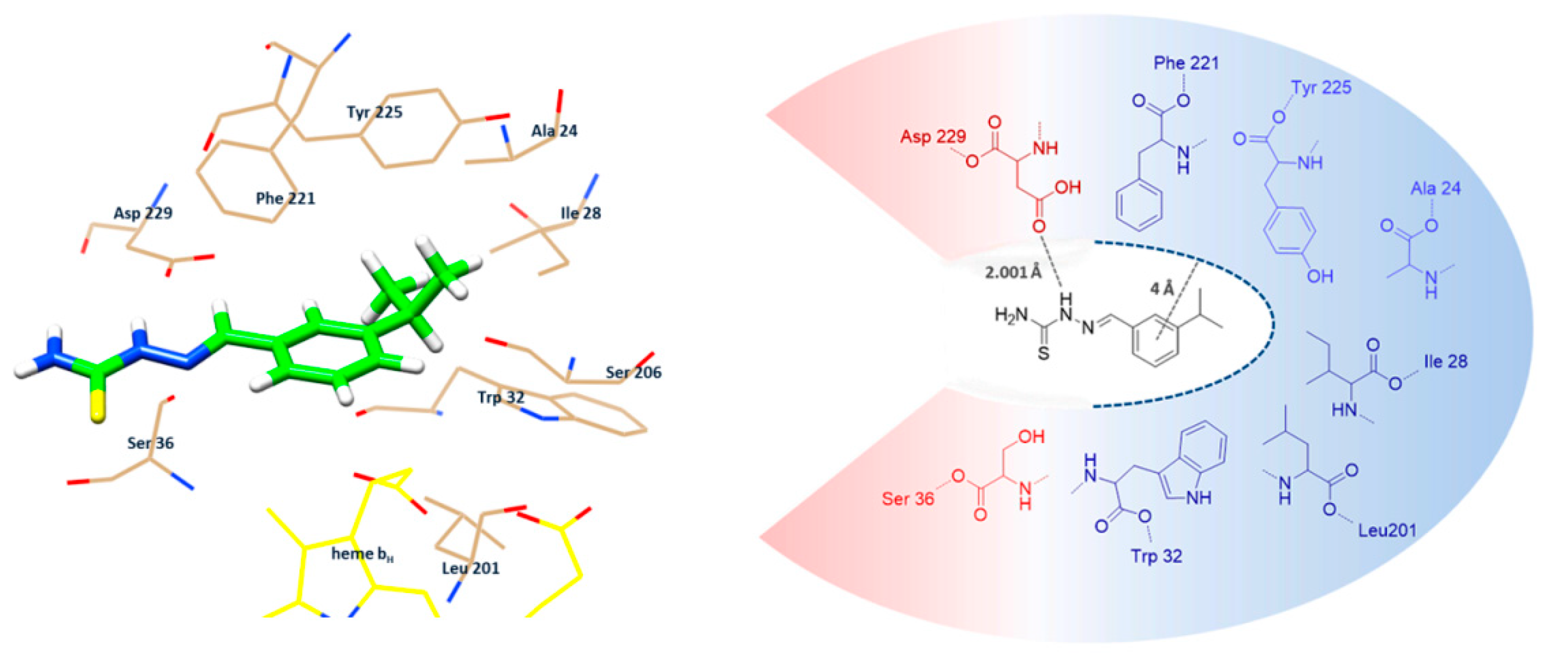 Molecules 24 02971 g006