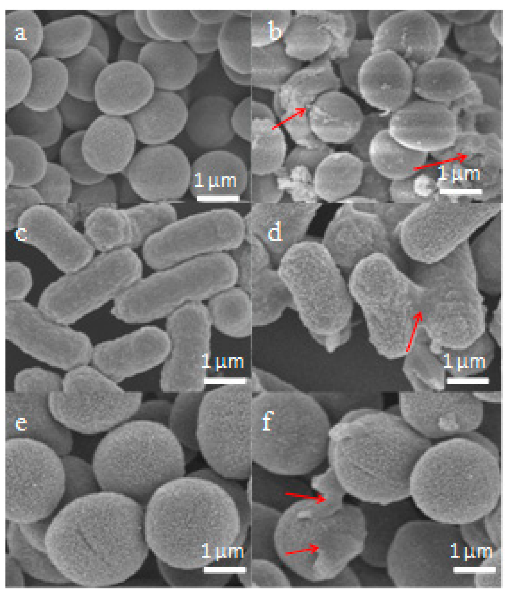 Molecules 24 02974 g009 Molecules 24 02974 g009