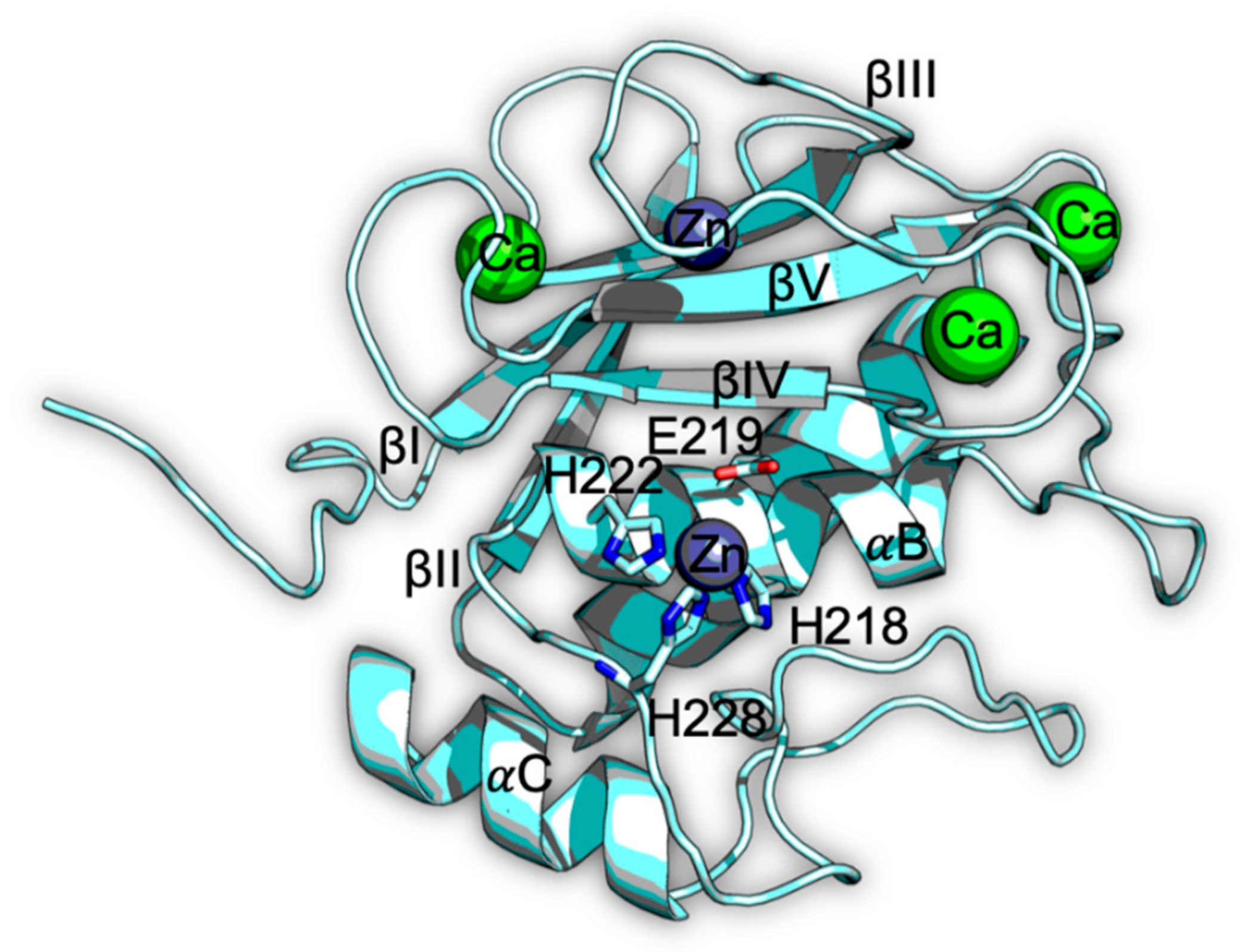 Molecules 24 02982 g001 Molecules 24 02982 g001