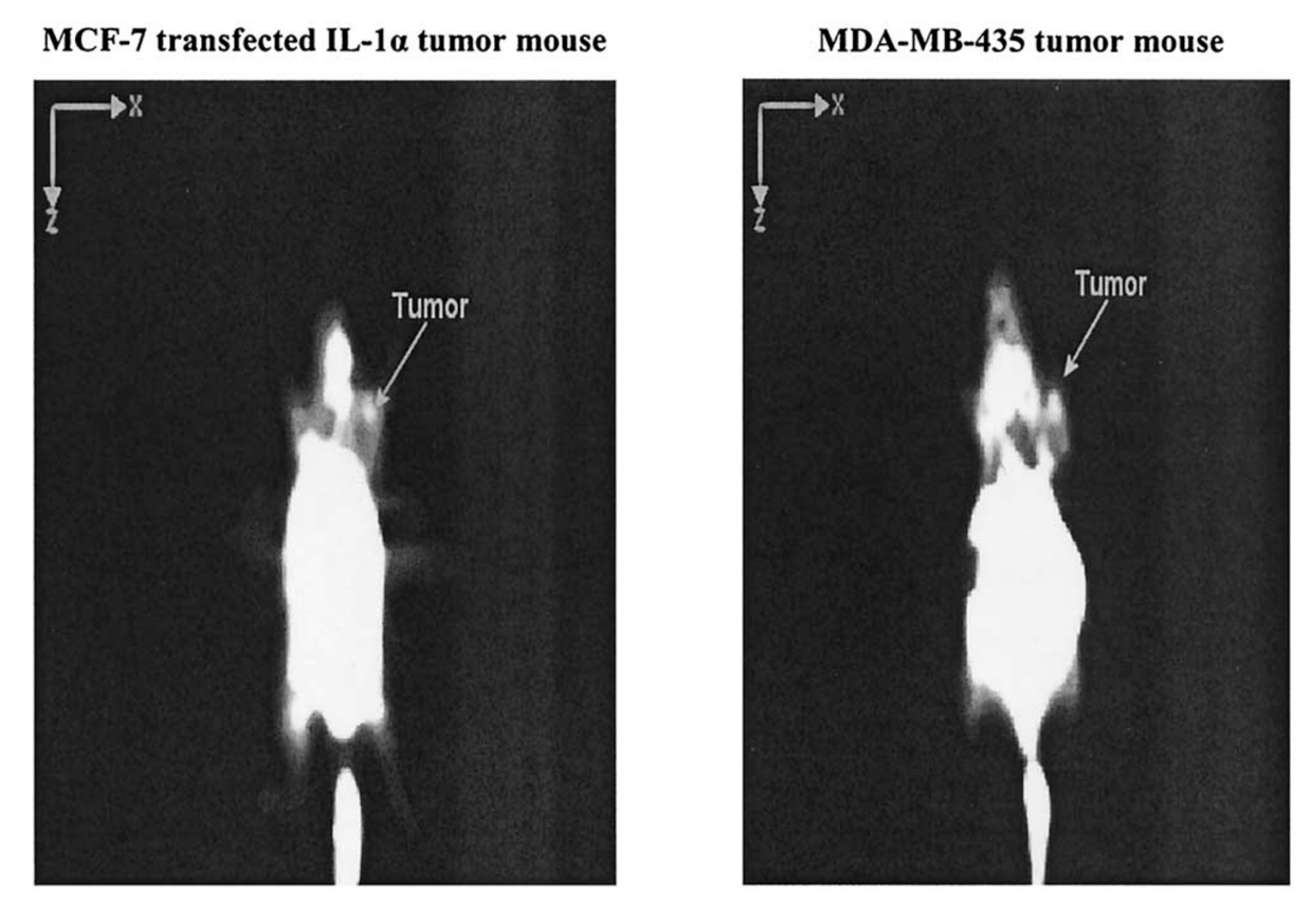 Molecules 24 02982 g002 Molecules 24 02982 g002