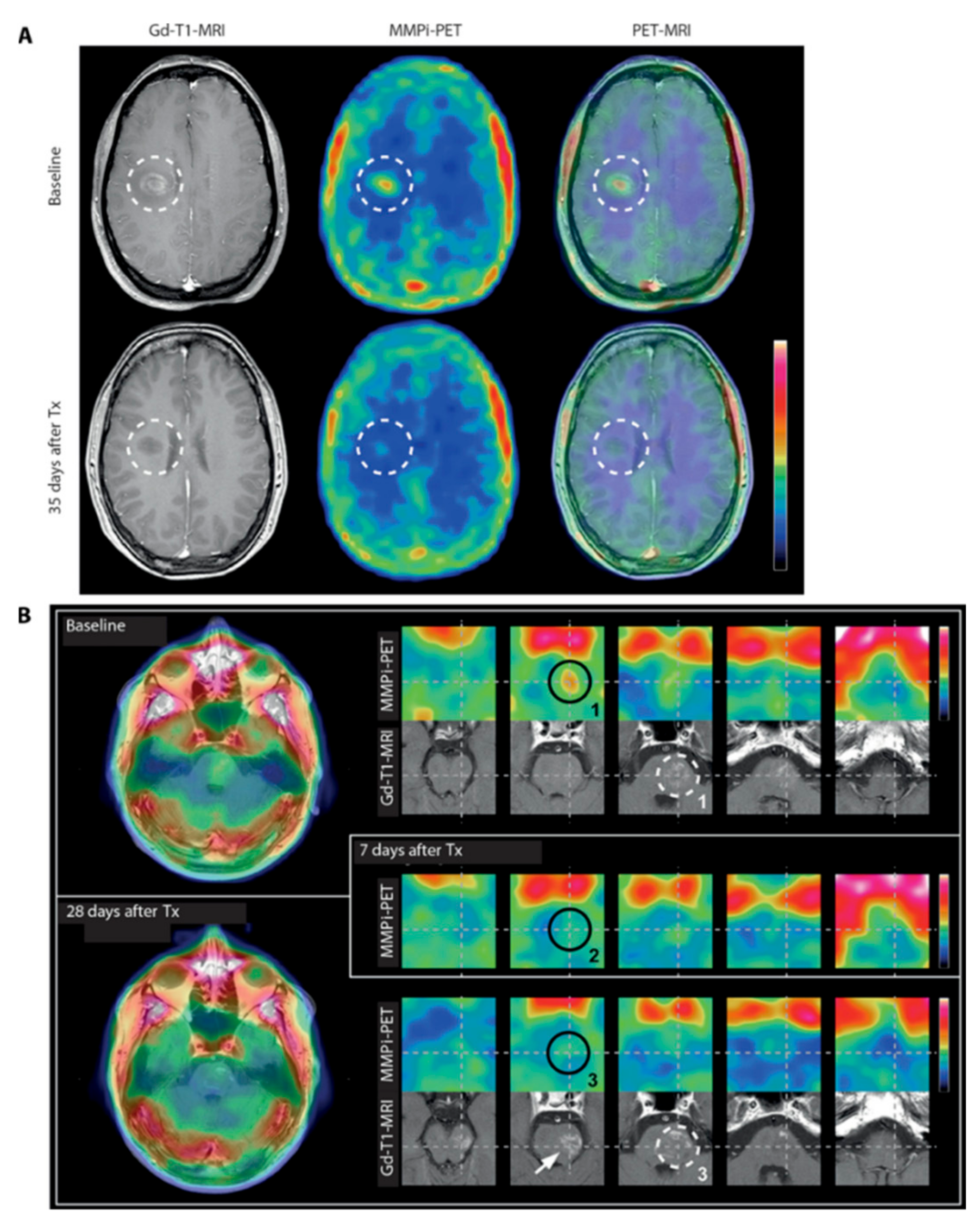 Molecules 24 02982 g009 Molecules 24 02982 g009