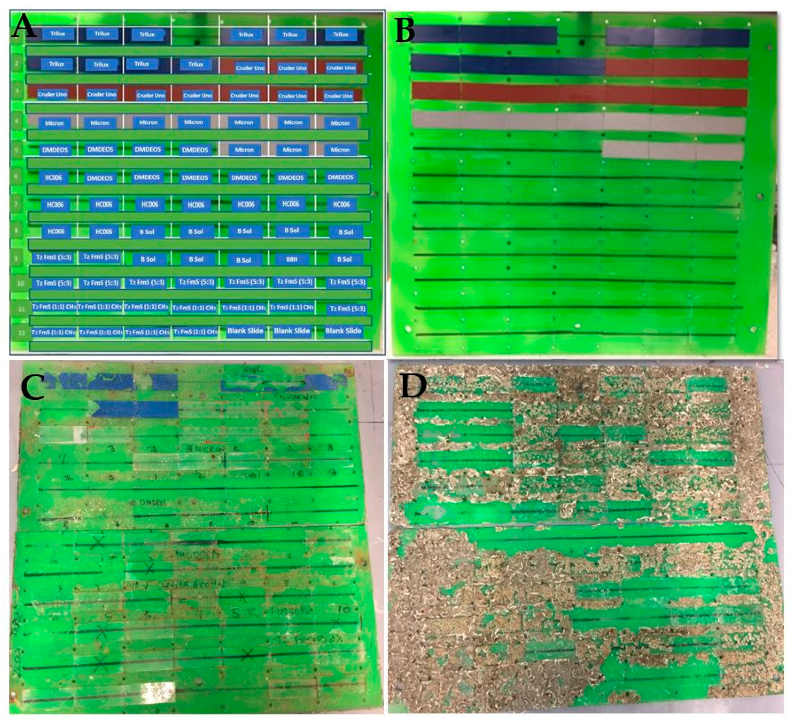 Molecules 24 02983 g004