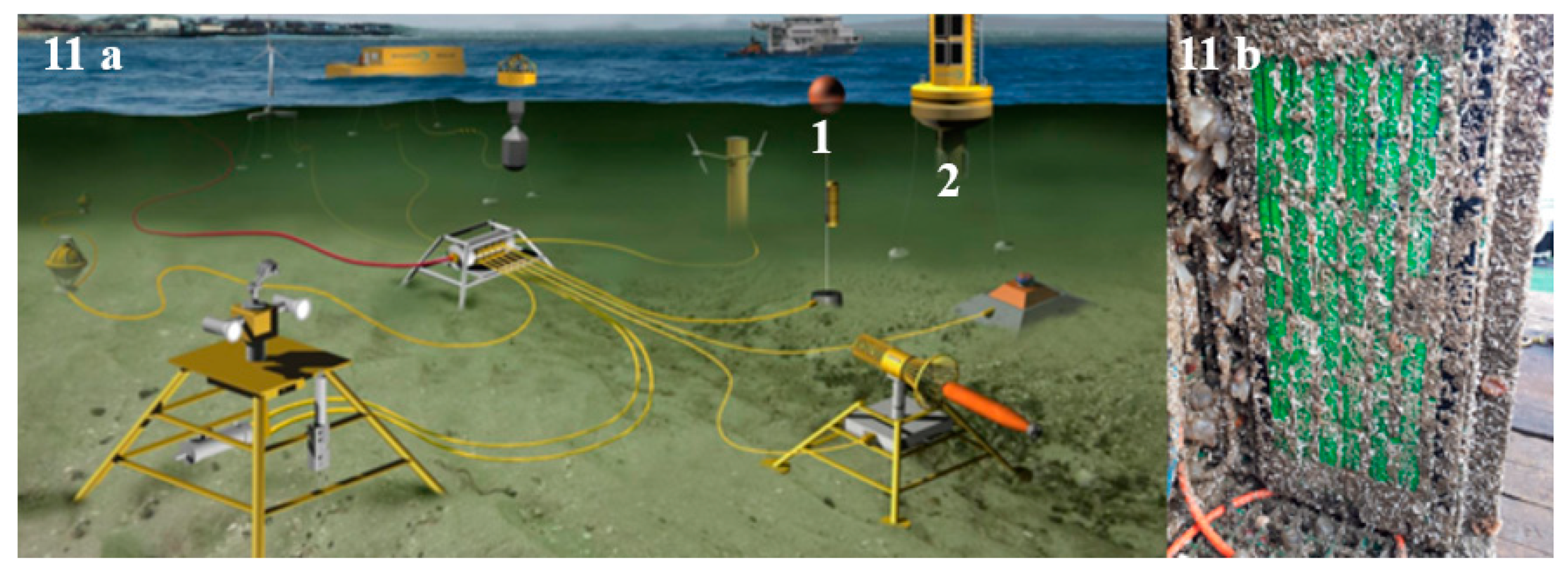Molecules 24 02983 g011