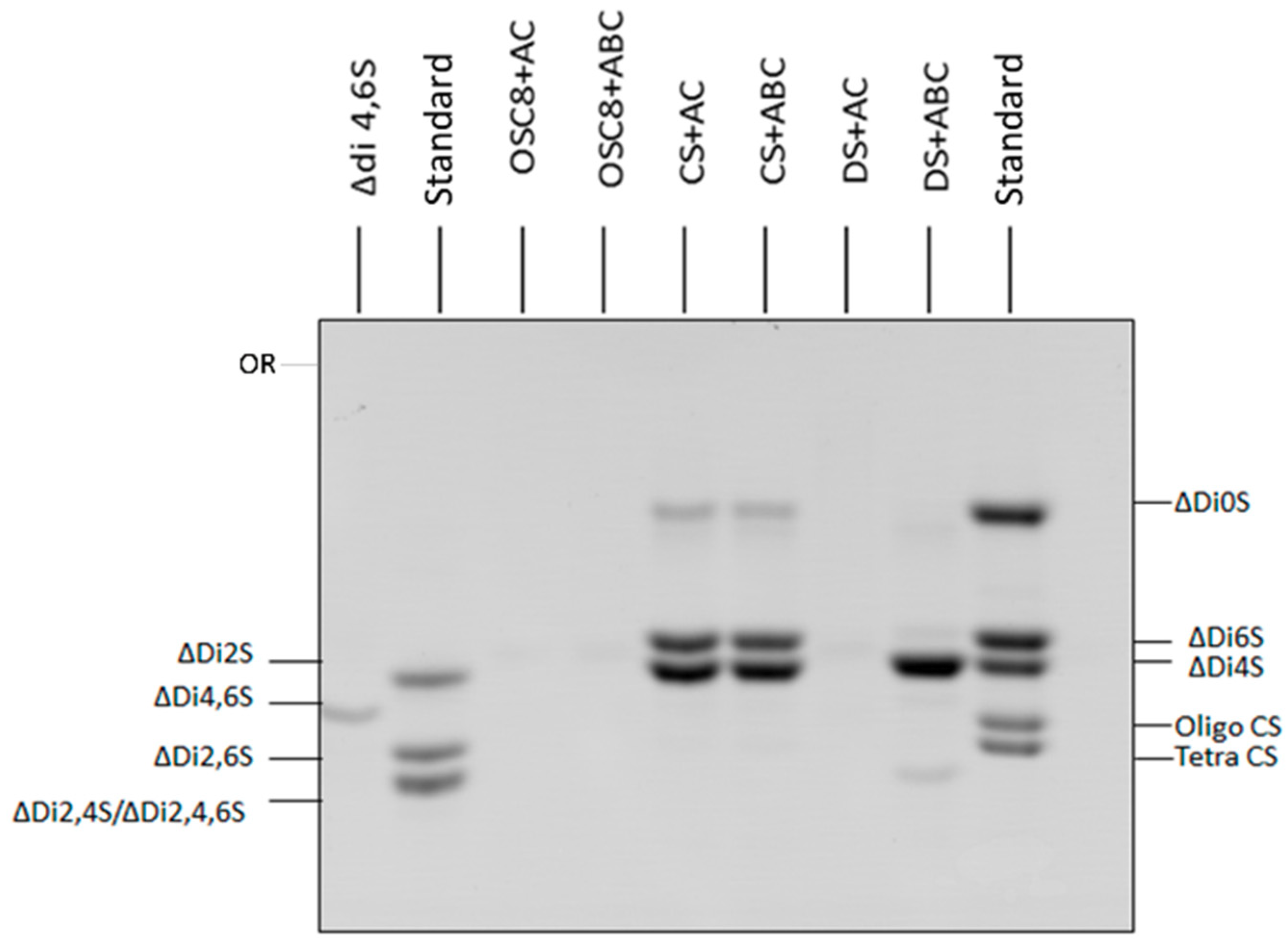 Molecules 24 02988 g008 Molecules 24 02988 g008